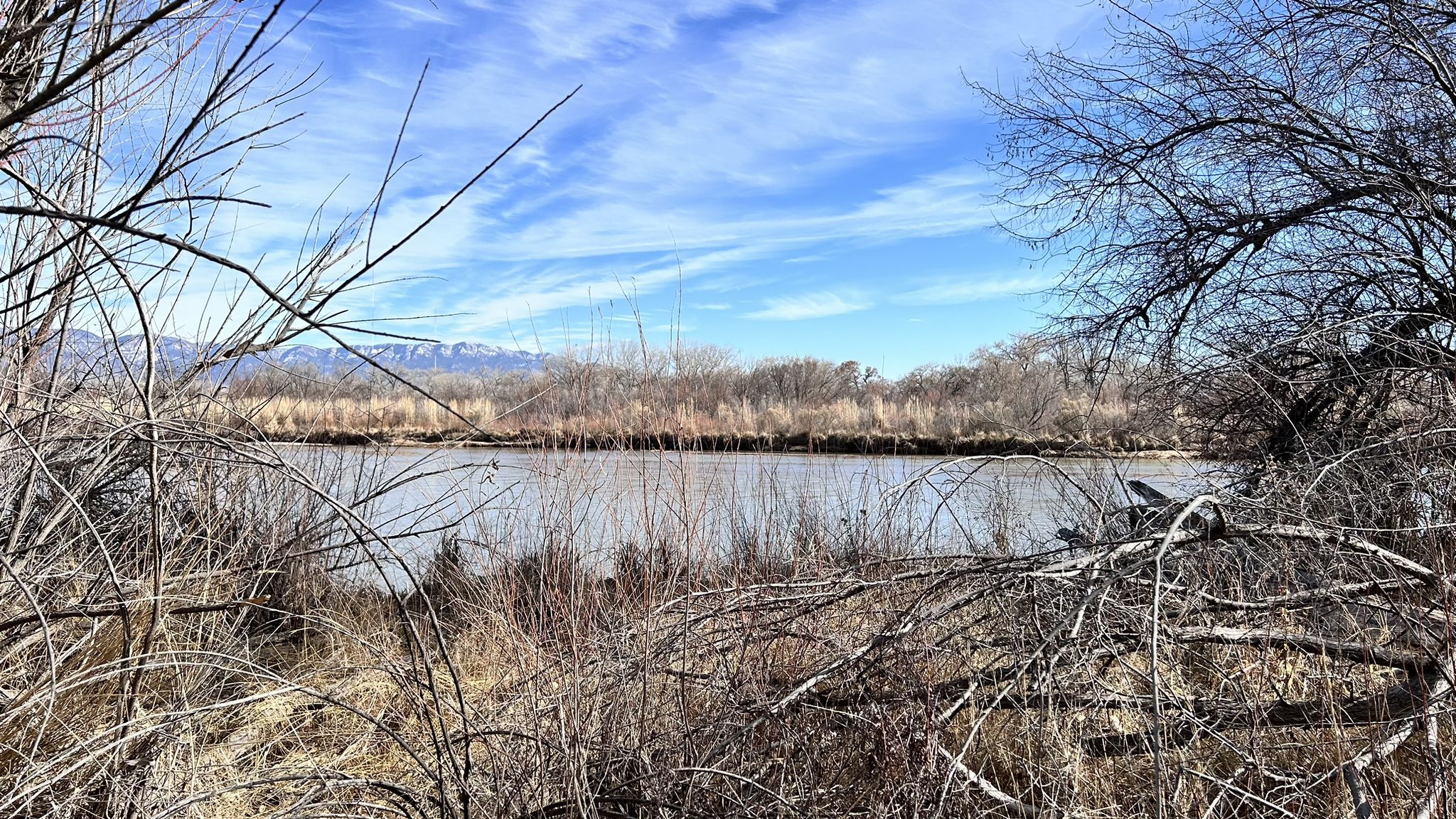 Wide river framed by bare branches under a bright blue sky. - Corrales Immigration Mixed Use Trail and Corrales Bosque Preserve loop