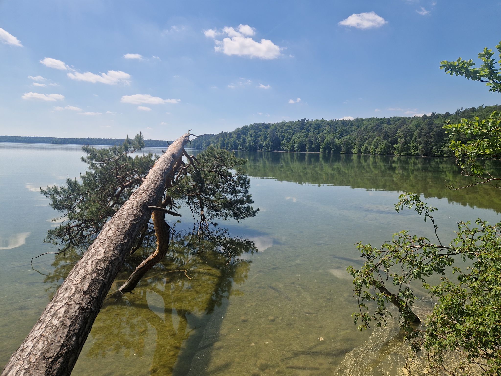 Die Nordbucht