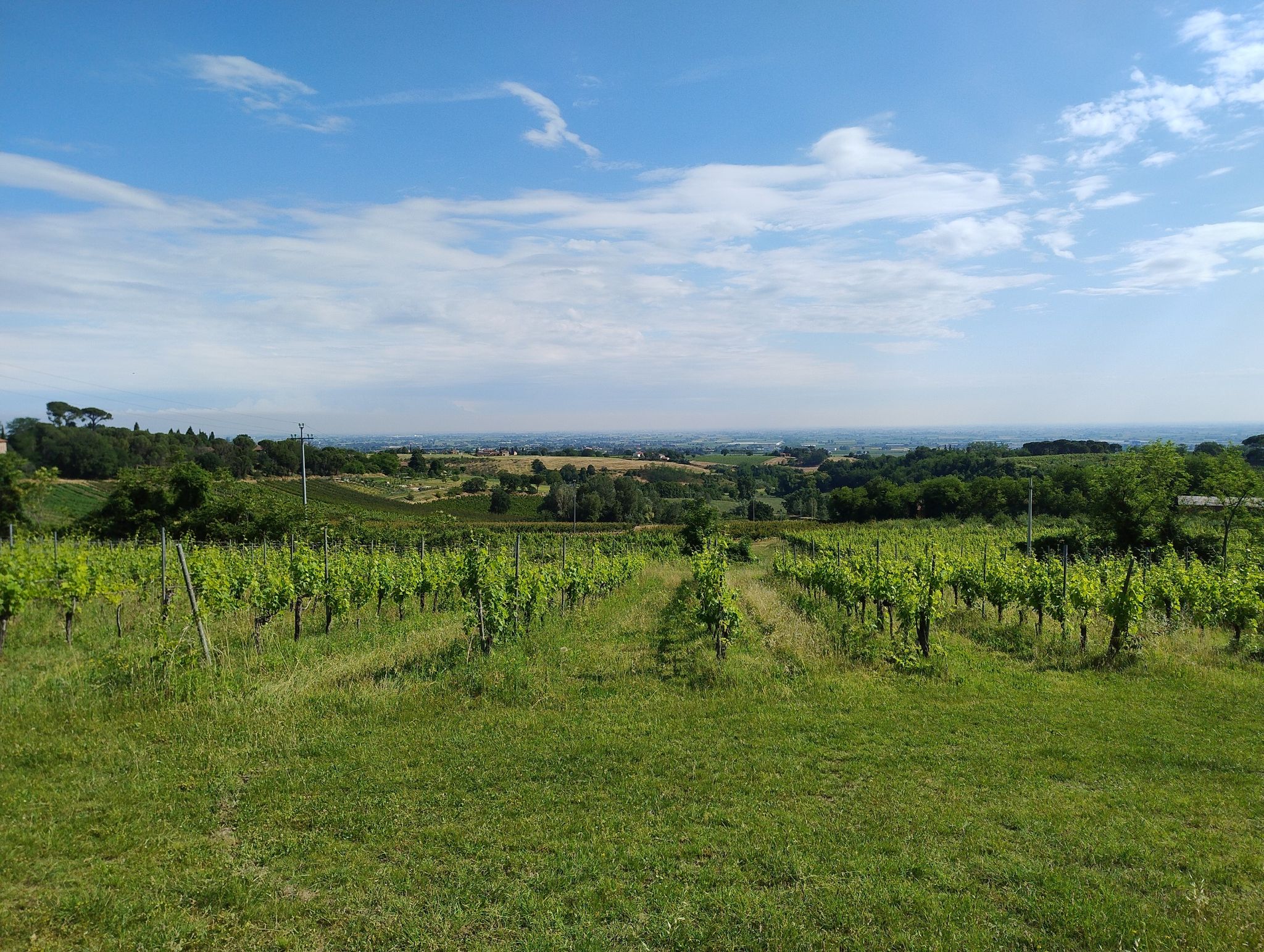 vista da Casale il Pino