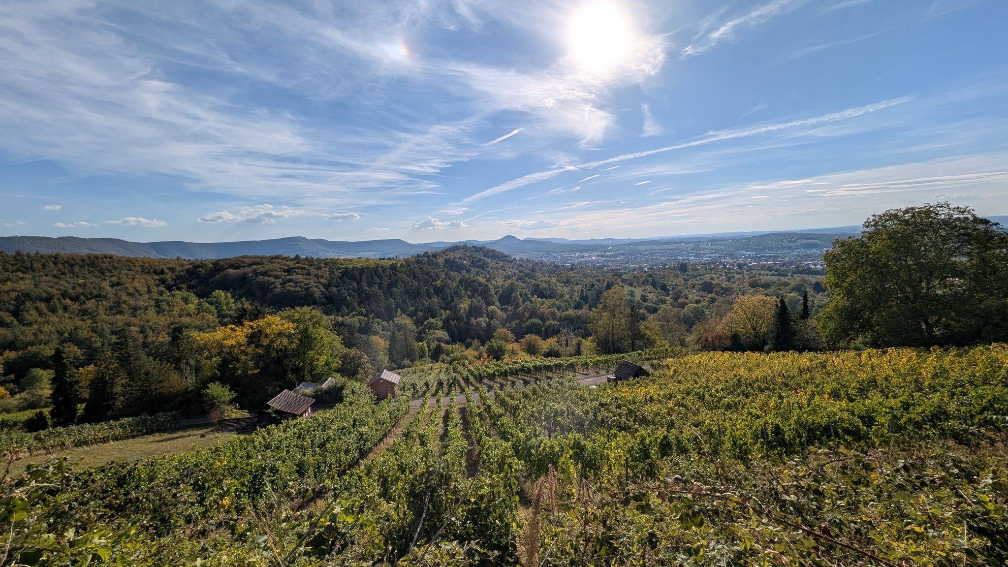 Weinberge am Florian 🍇