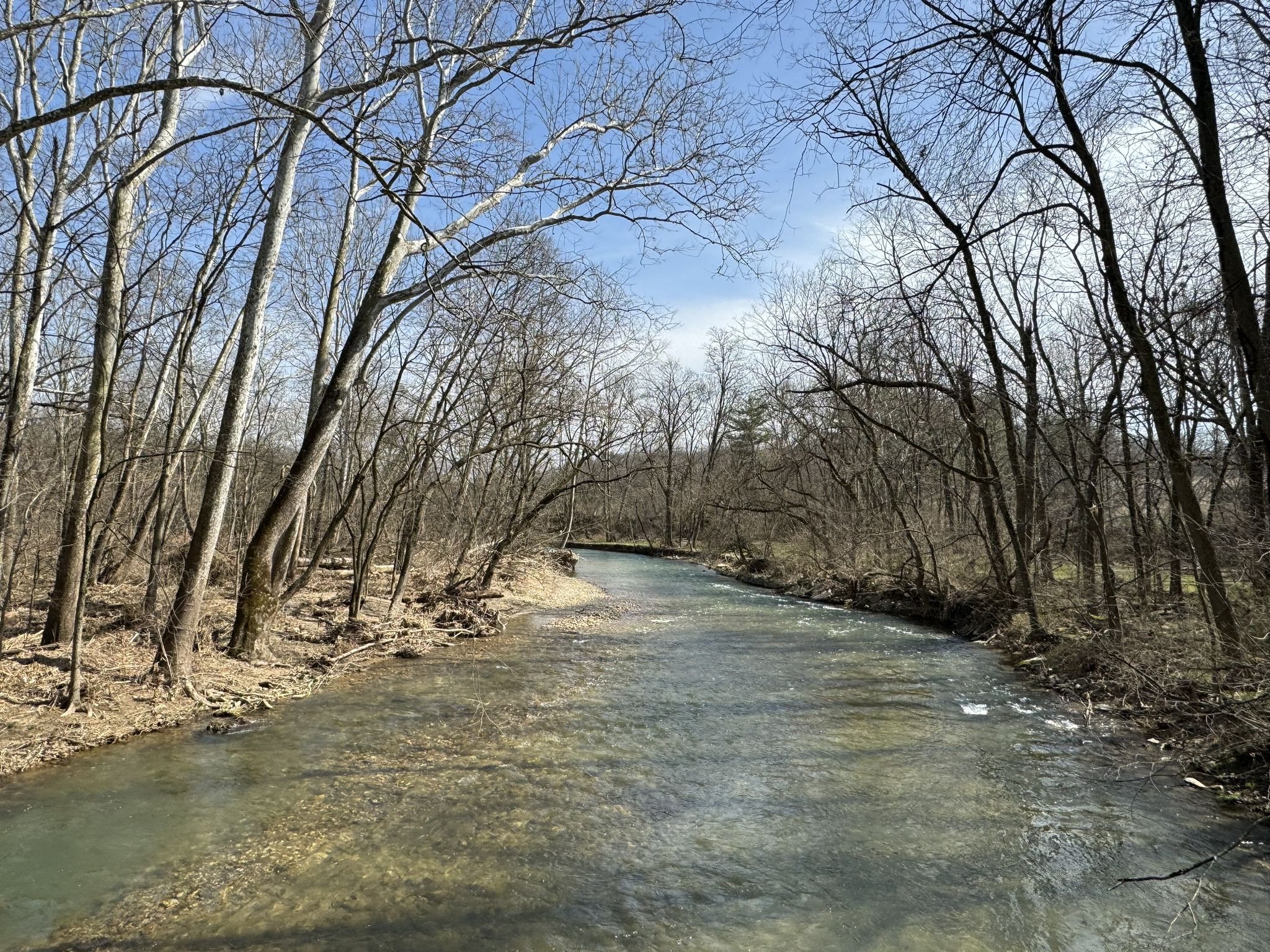 A clear river winds through a forest of bare trees on a sunny day. - Jordan Creek Greenway