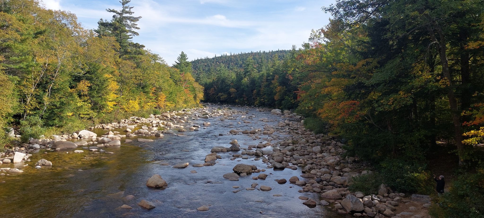 Rocky river flows through a vibrant autumn forest under a bright sky. - Albany Covered Bridge loop