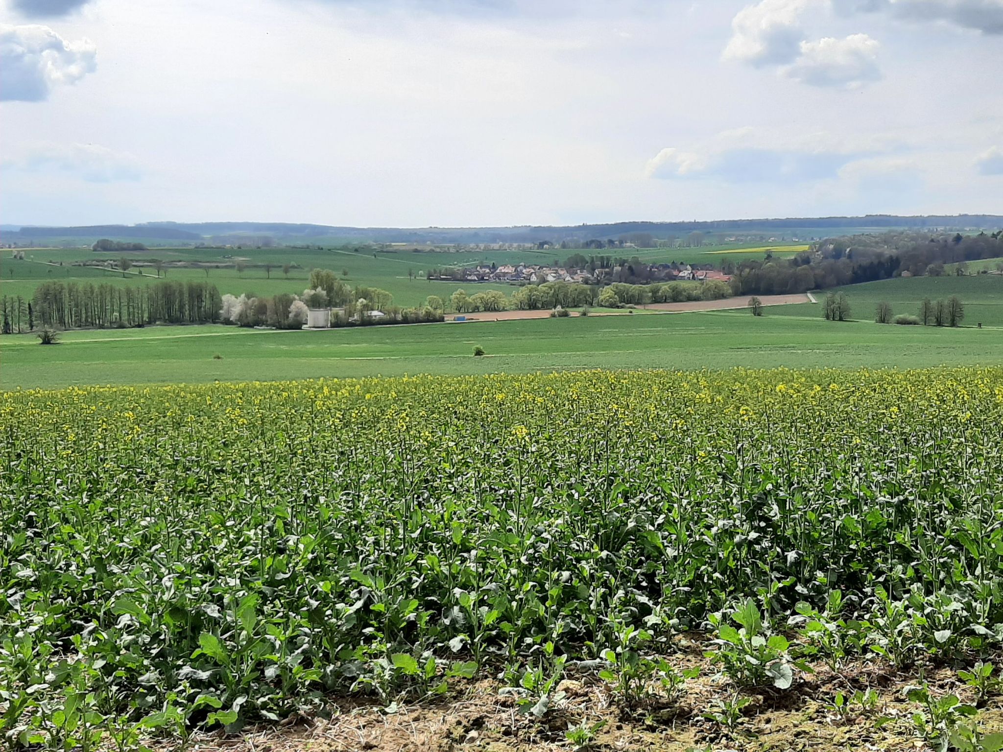 Blick auf Löwenhagen