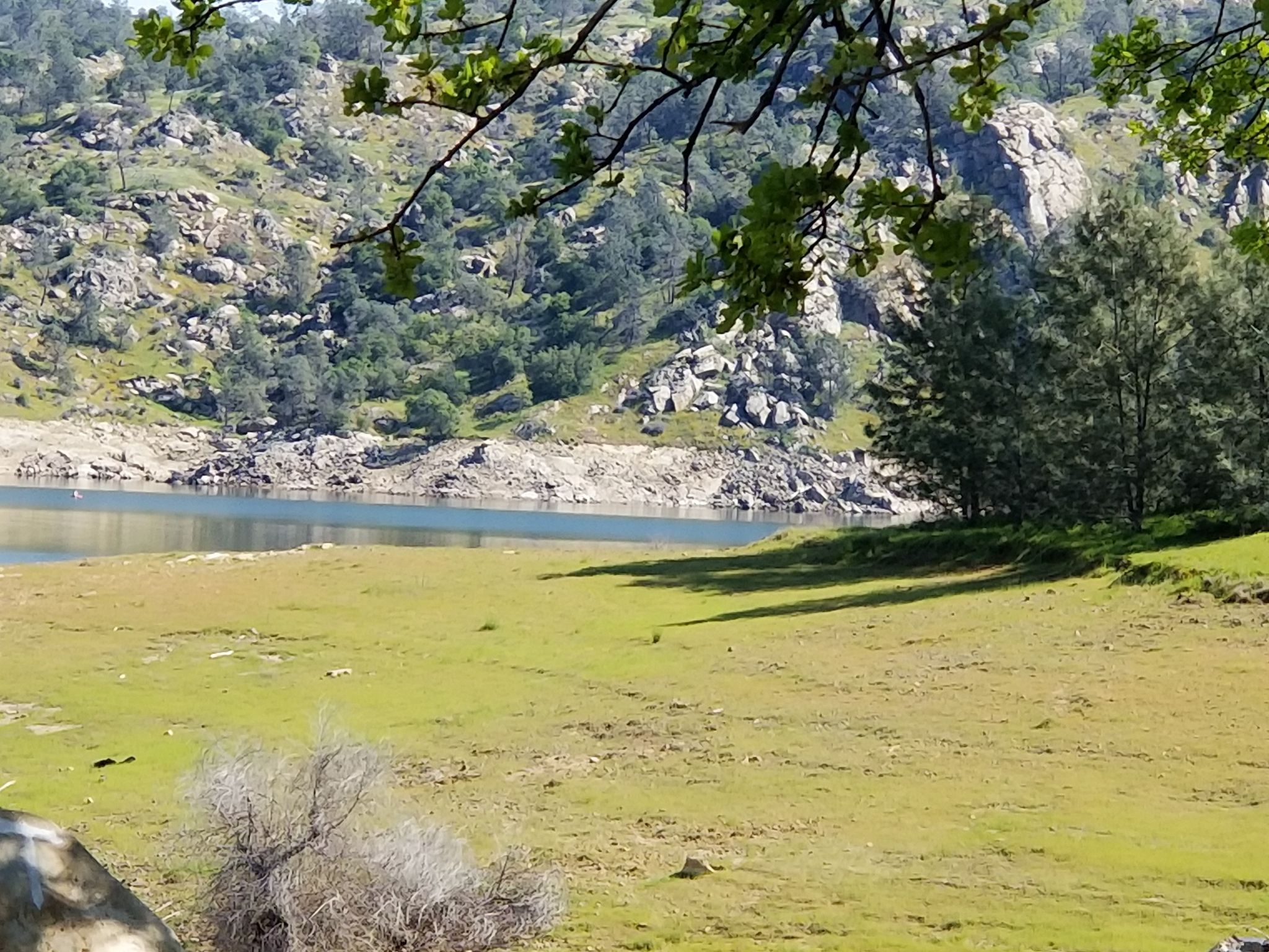 Calm lake with green grassy banks and rocky, forested hills under bright sun. - Pincushion Peak Trail