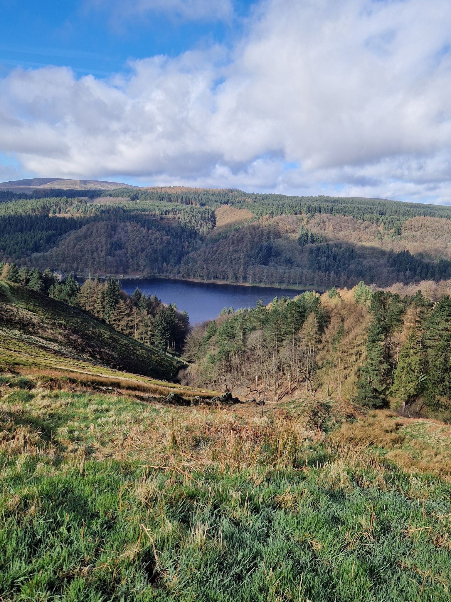 Derwent  edge