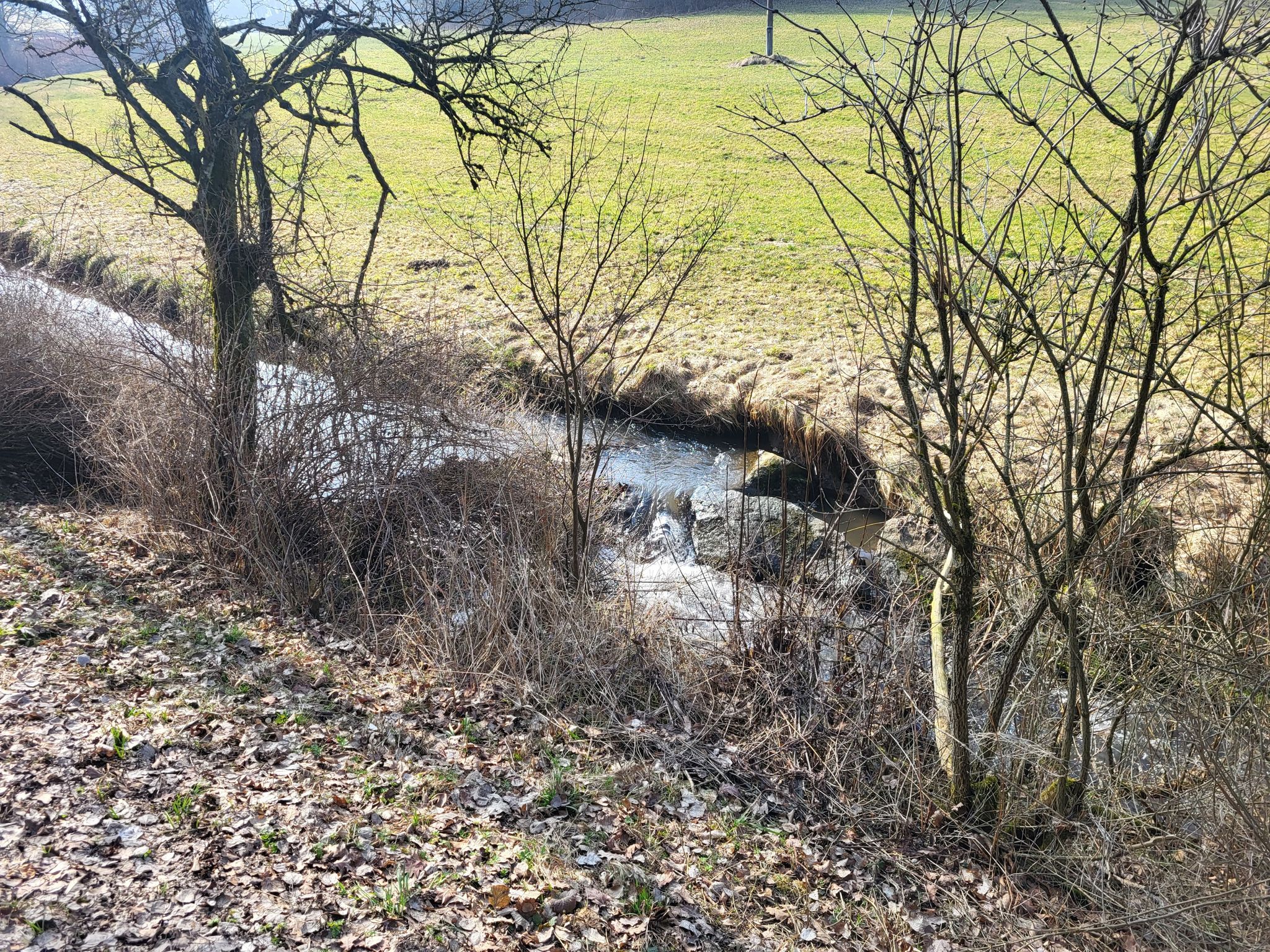 Der Schweibelbach