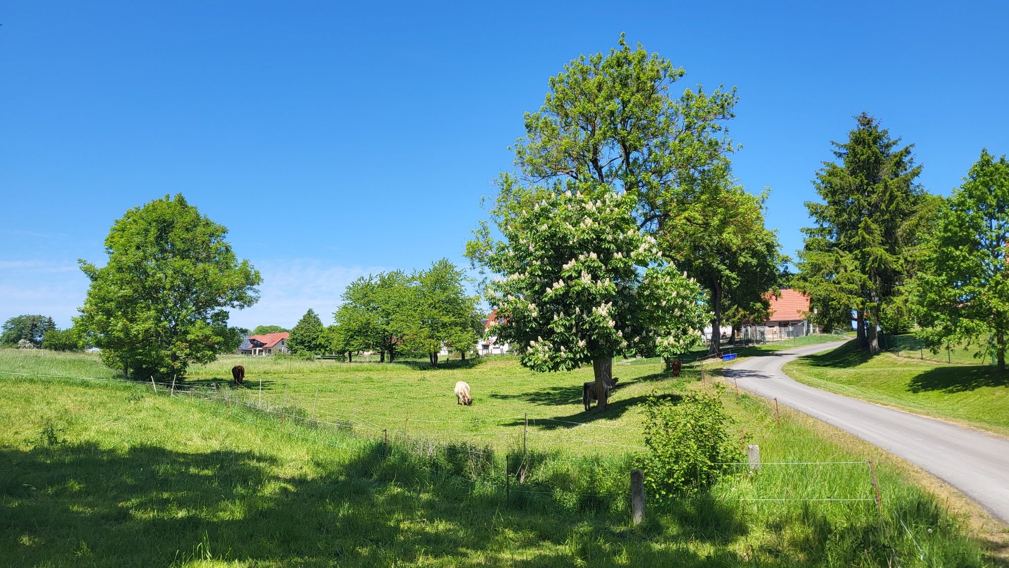 Tschüss Wachstedt