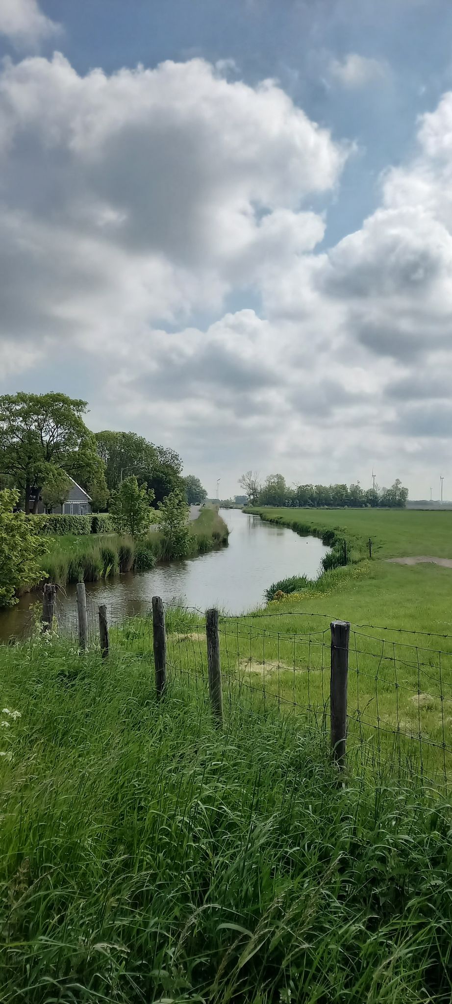 Kolhornerkade