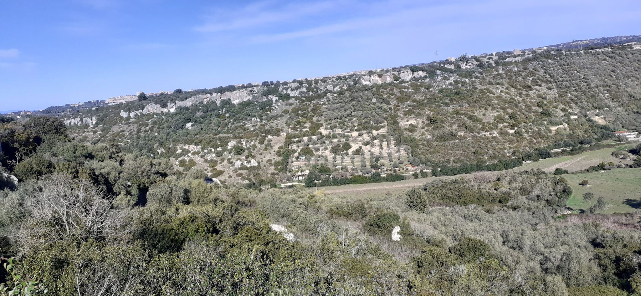 valle Rio Muscari