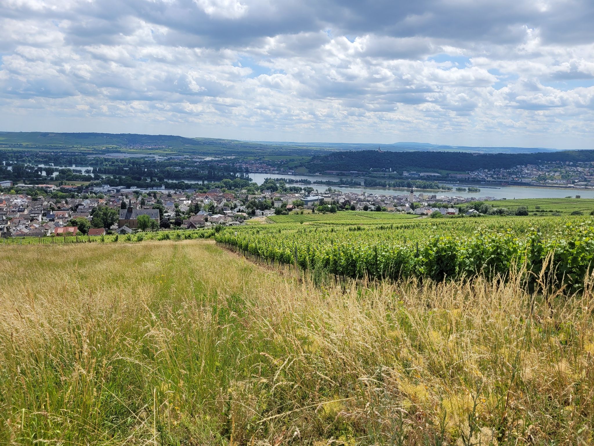 Rüdesheim