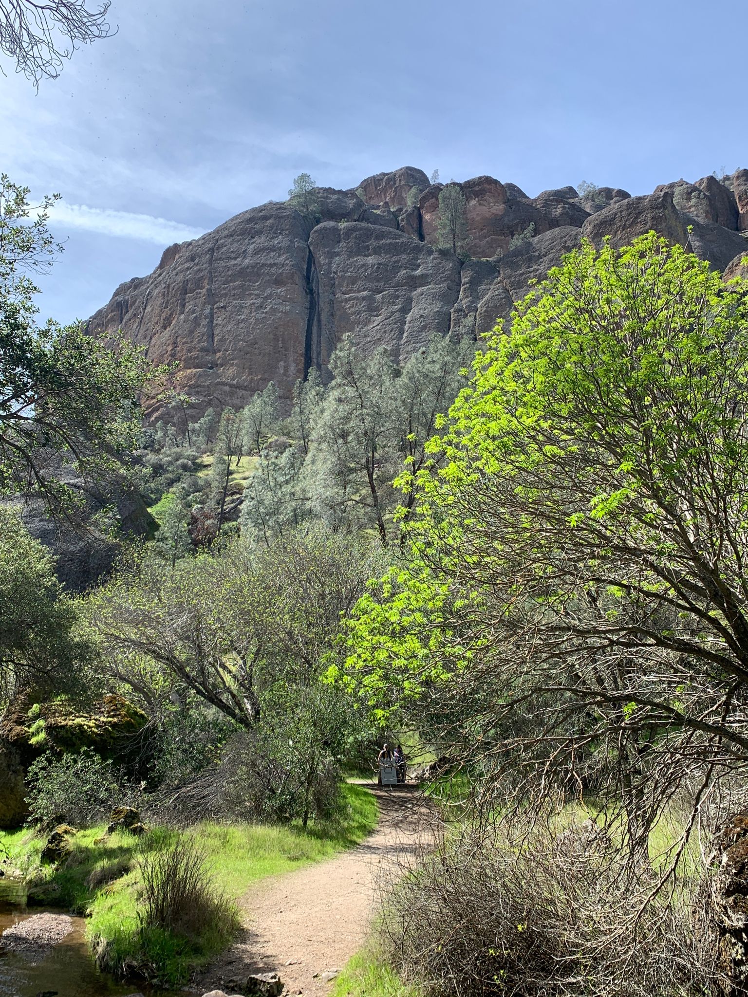 Dirt path through a green valley with distant hikers and towering rocky cliffs. - Old Pinnacles Trail