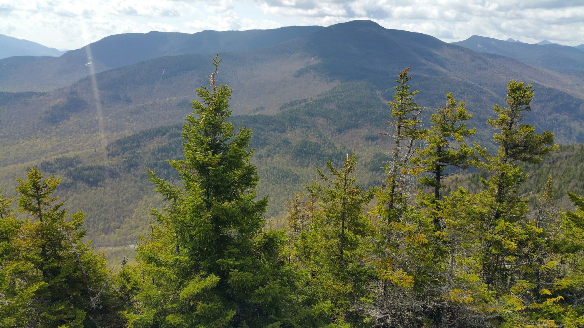 Evergreen trees in the foreground with sunlit forested mountains in the distance. - Pitchoff Mountain Trail