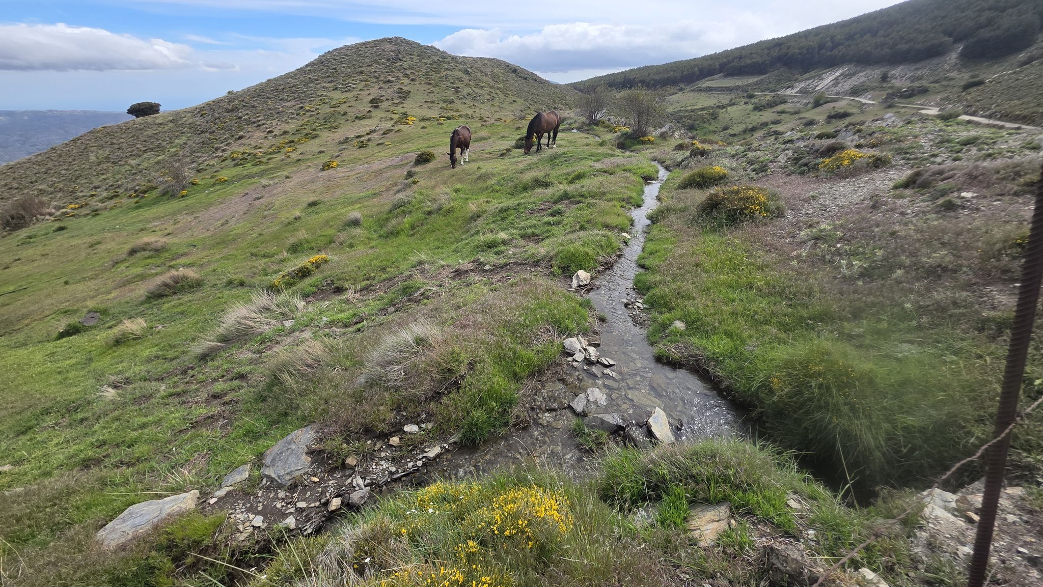 Typische Wasserführung. Das Bächlein wird unterhalb der Straße für die Bewässerung der Felder geteilt, in eine Ost- und eine Westrichtung.