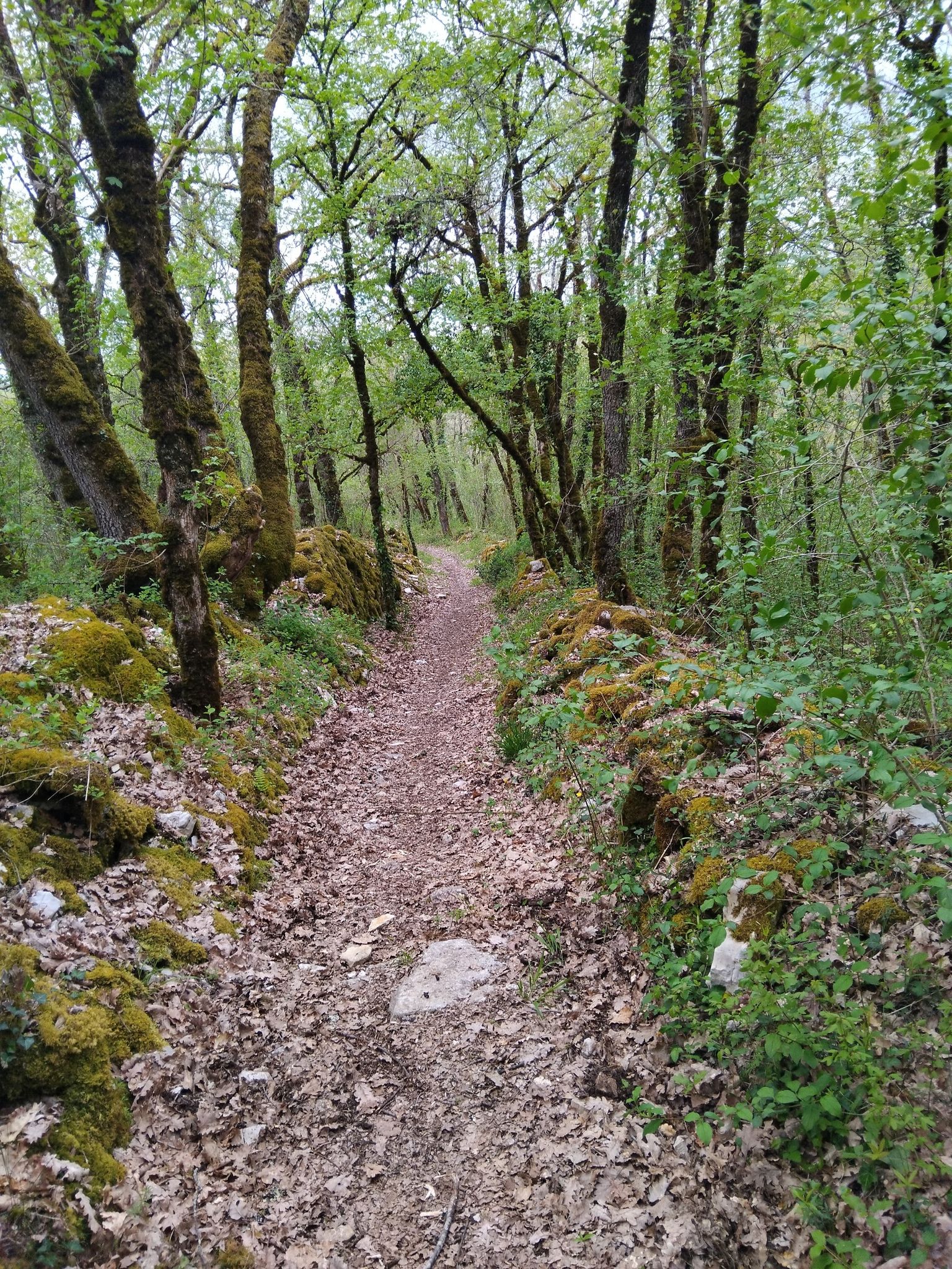 sentier vtt