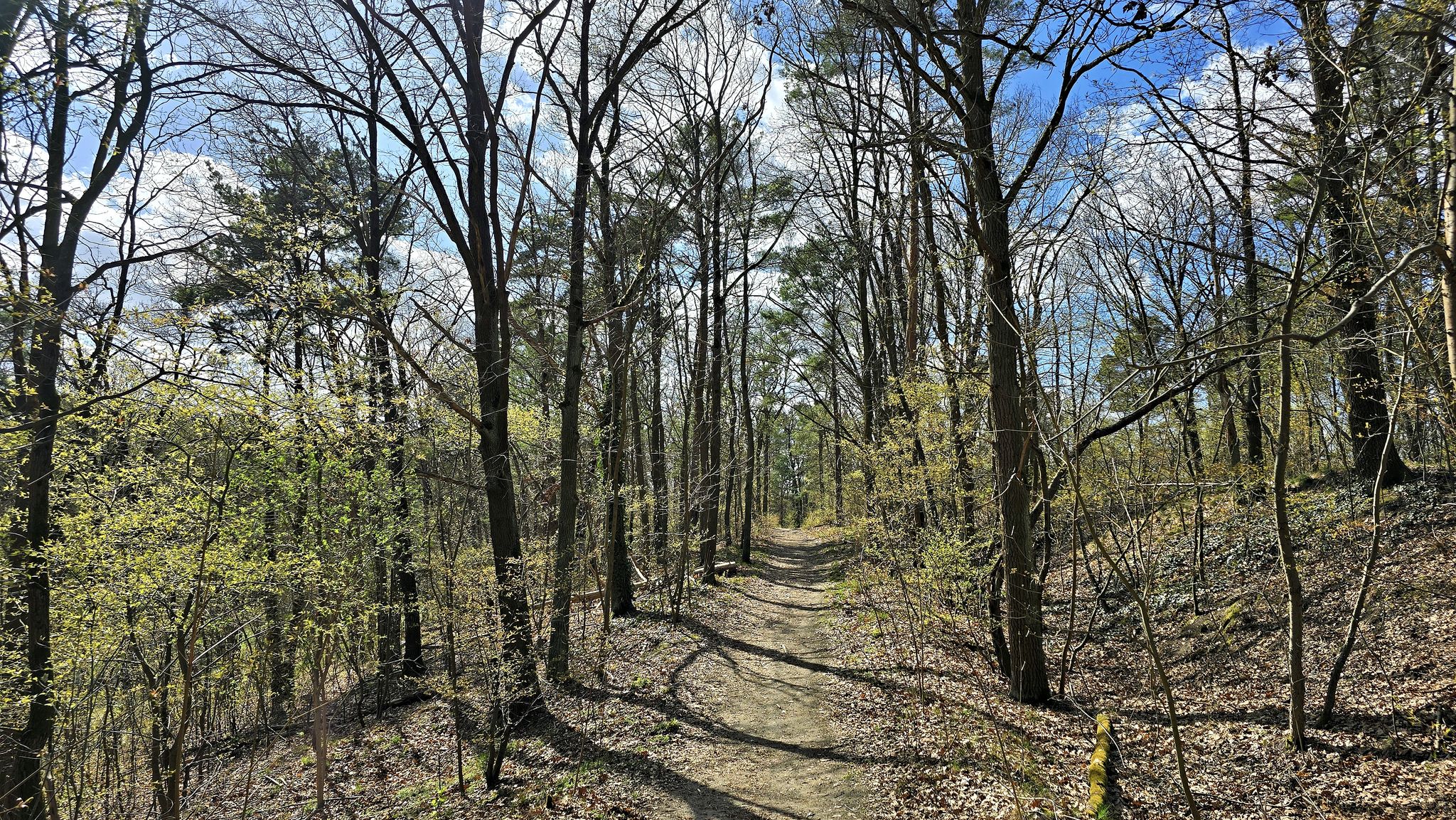 Wanderweg Schanzenwald