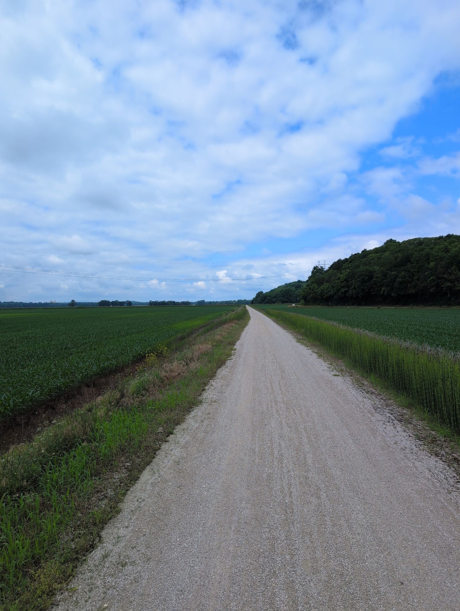 A long straight gravel path extends through green fields under a cloudy sky. - Katy Trail: Dutzow to Augusta