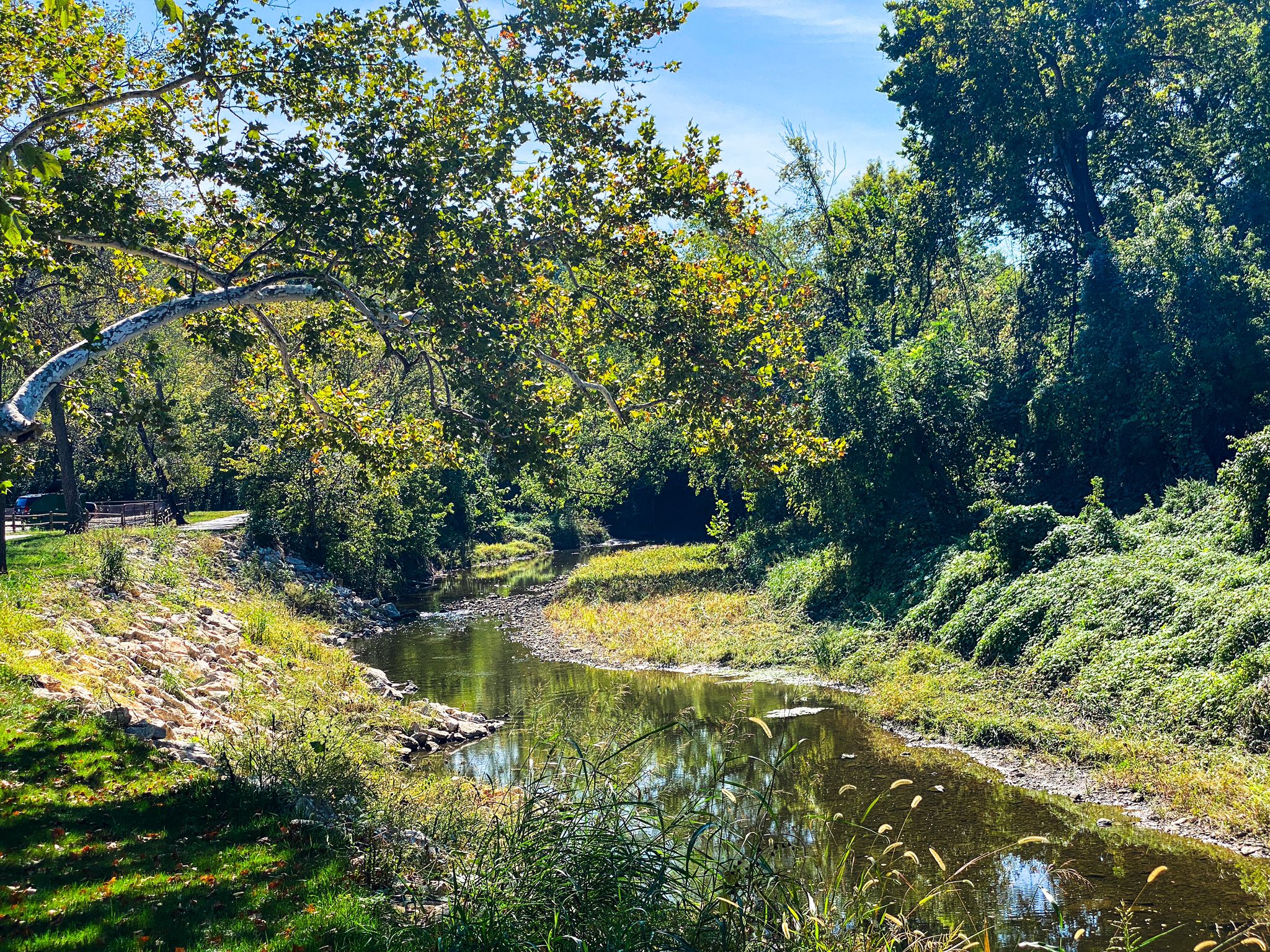 A calm river winds through a vibrant green, sunlit natural landscape. - Gary L. Haller Trail – Shawnee Mission Lake loop from 66th and Hilltop Park and Ride