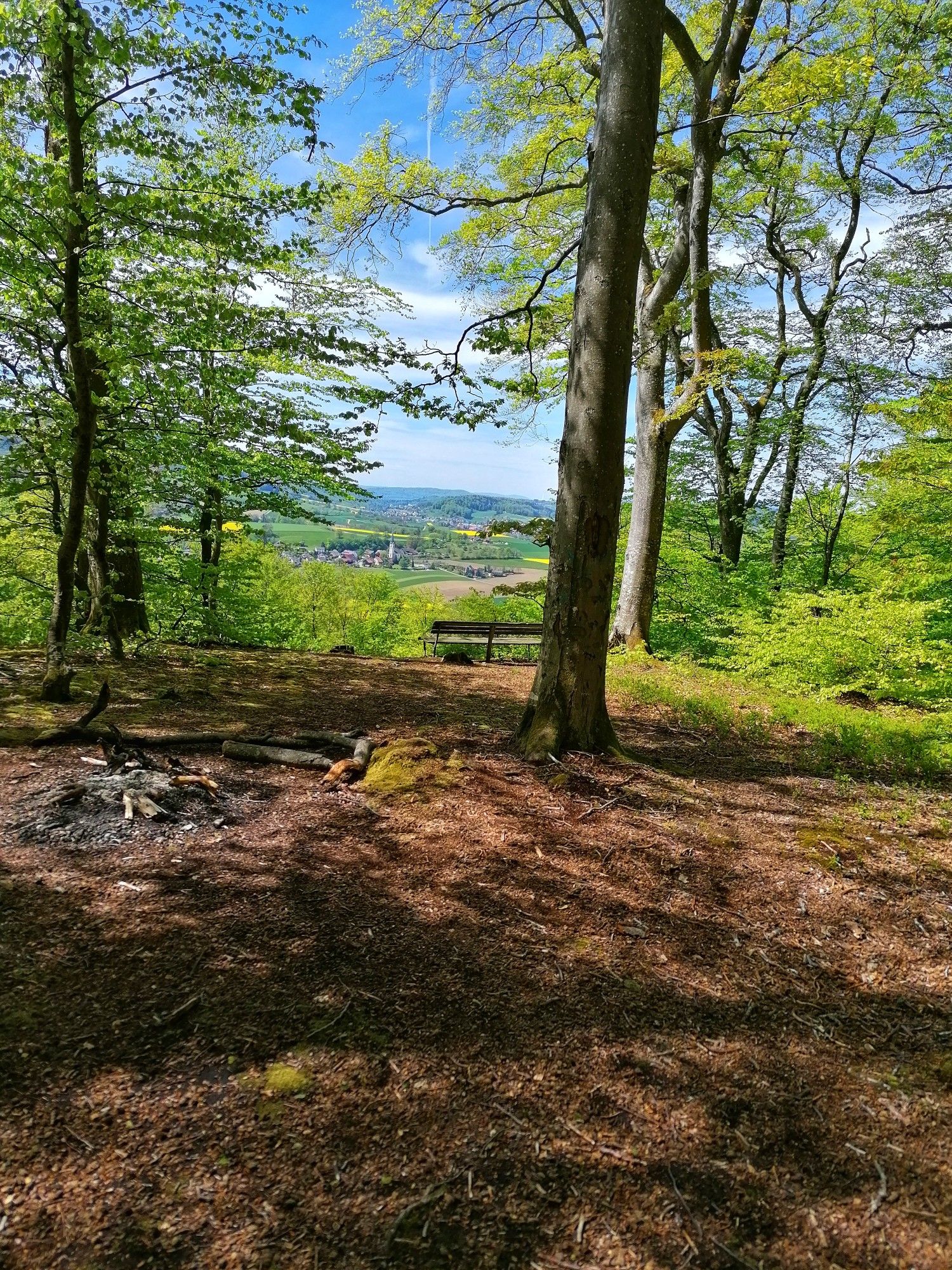 Aussichtspunkt und Grillplatz mit Blick auf Niederweningen