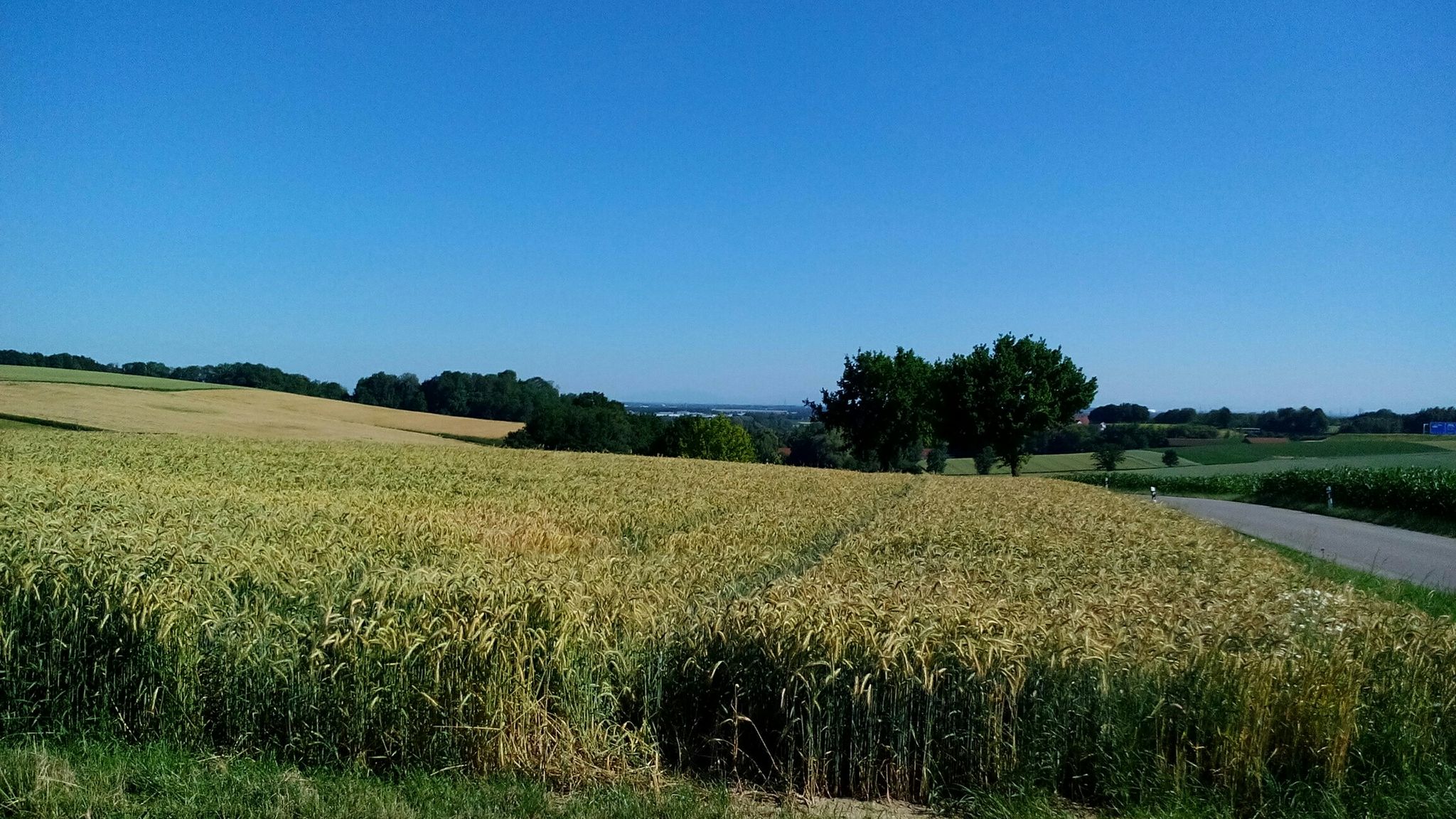 Anhöhe : zwischen Fürholzen-Hetzenhausen
