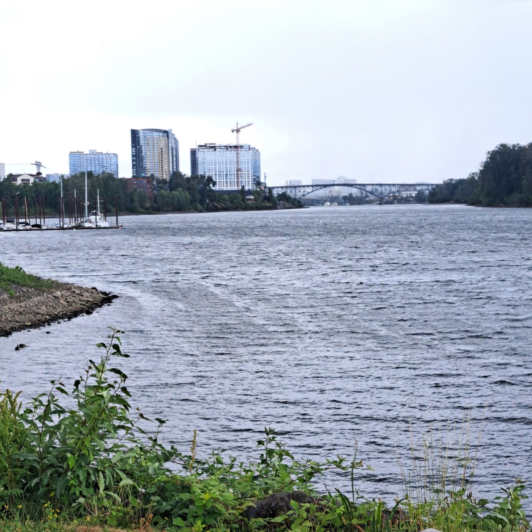 Wide river with distant city skyline, bridge, and boats under overcast sky. - Willamette River Greenway – Sellwood Bridge loop from Hall/Nimbus