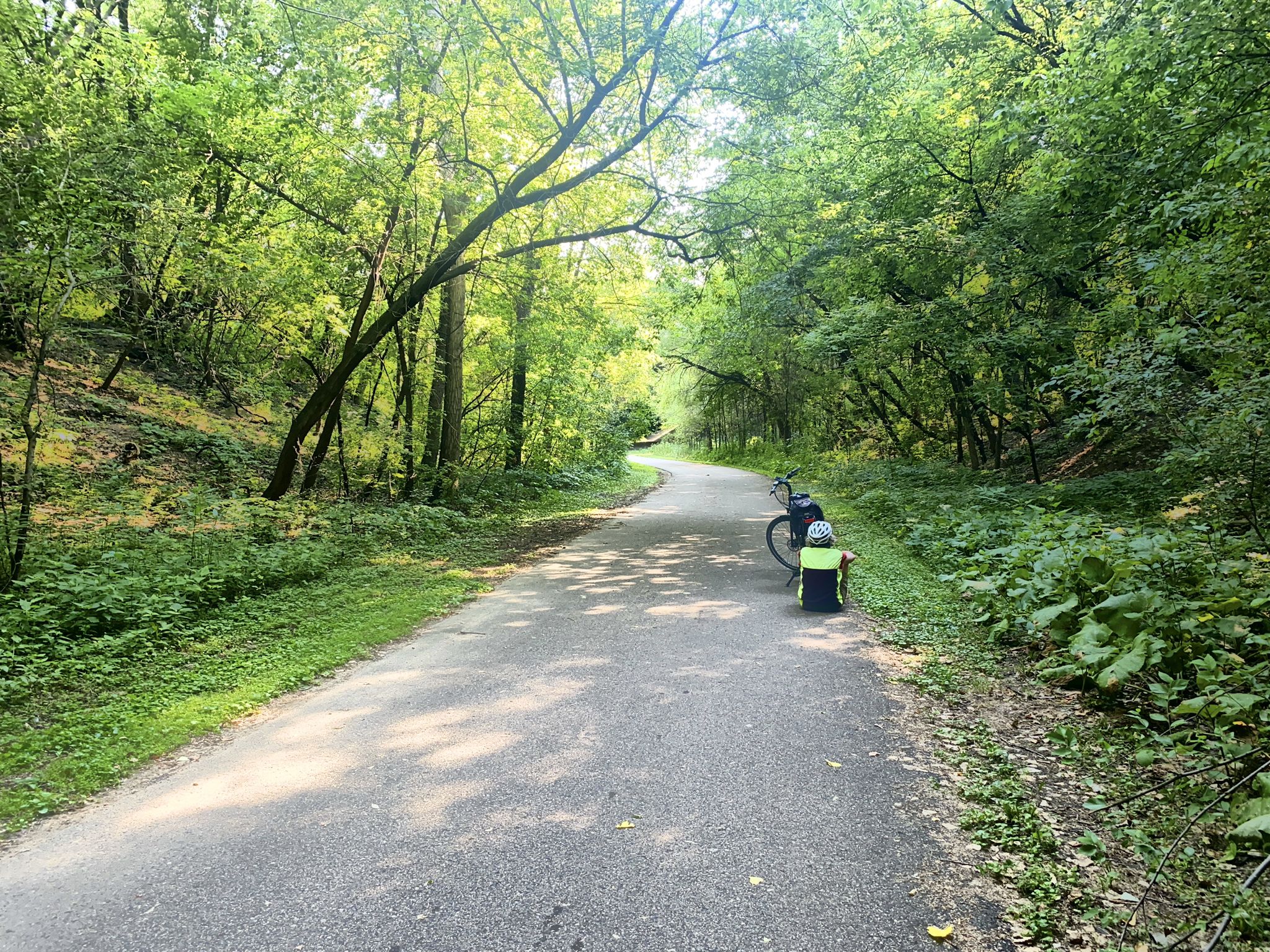 Paved path through a dense forest with a parked bicycle, dappled sunlight. - Bruce Vento Regional Trail