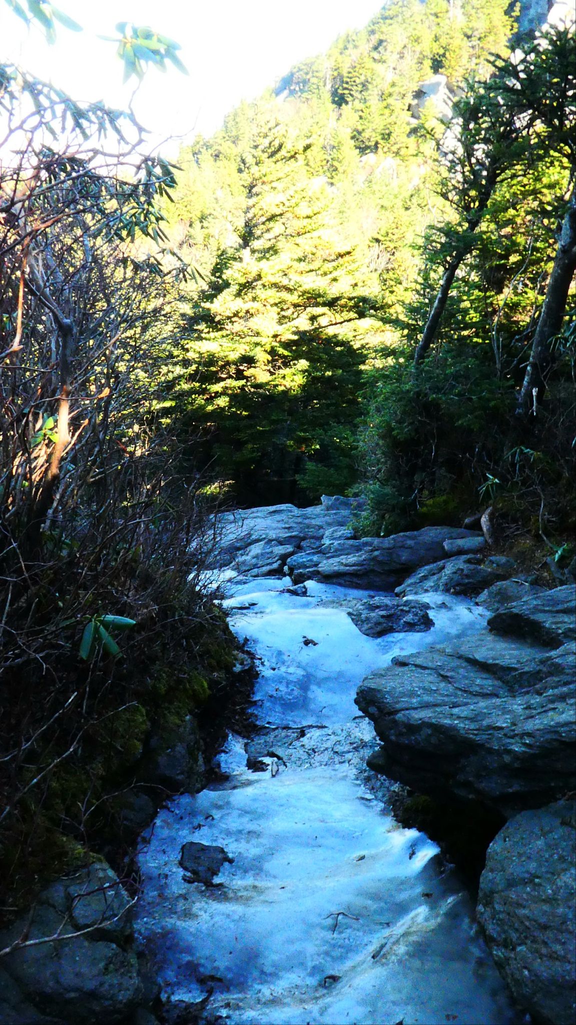 Icy stream flowing over rocks through a sunlit forest. - Grandfather Extension Trail