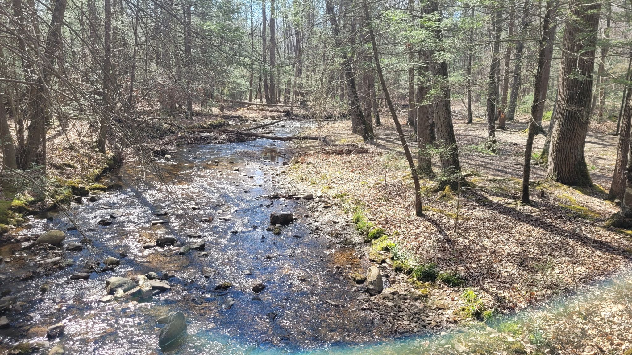 Sunny forest stream flowing over rocks with dappled light. - Tuscalachian Loop