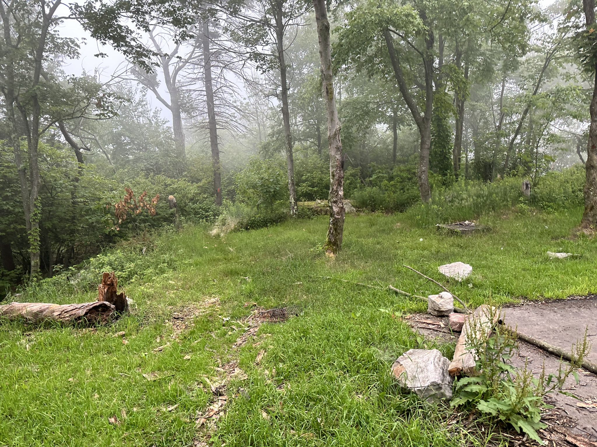 A misty forest clearing with green grass, scattered rocks, and tall trees. - Indian Steps and Mid-State Trail Loop