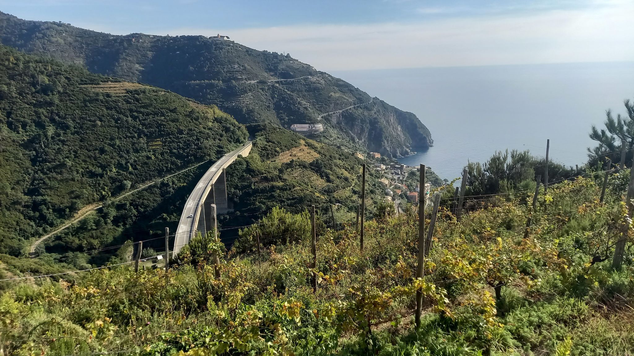 über Riomaggiore