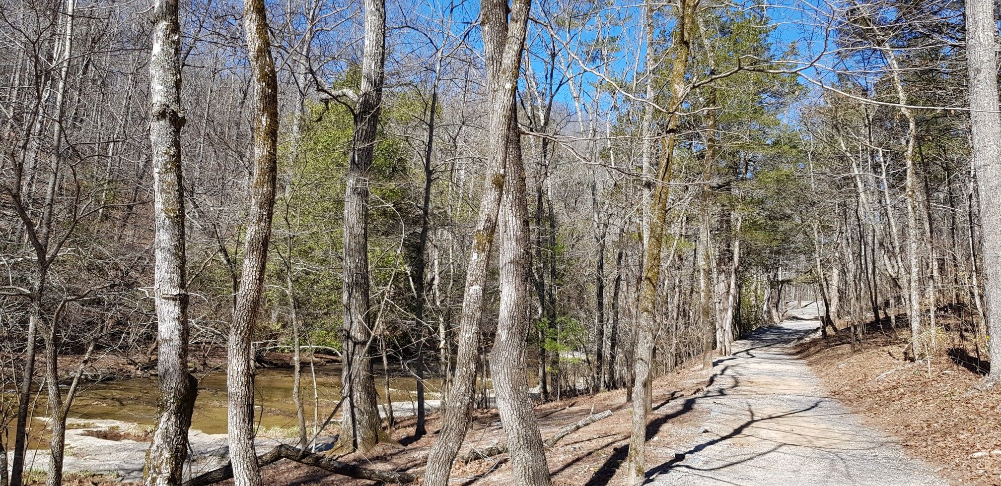 Paved path winding through a forest next to a rocky stream. - Cedar Creek Trail