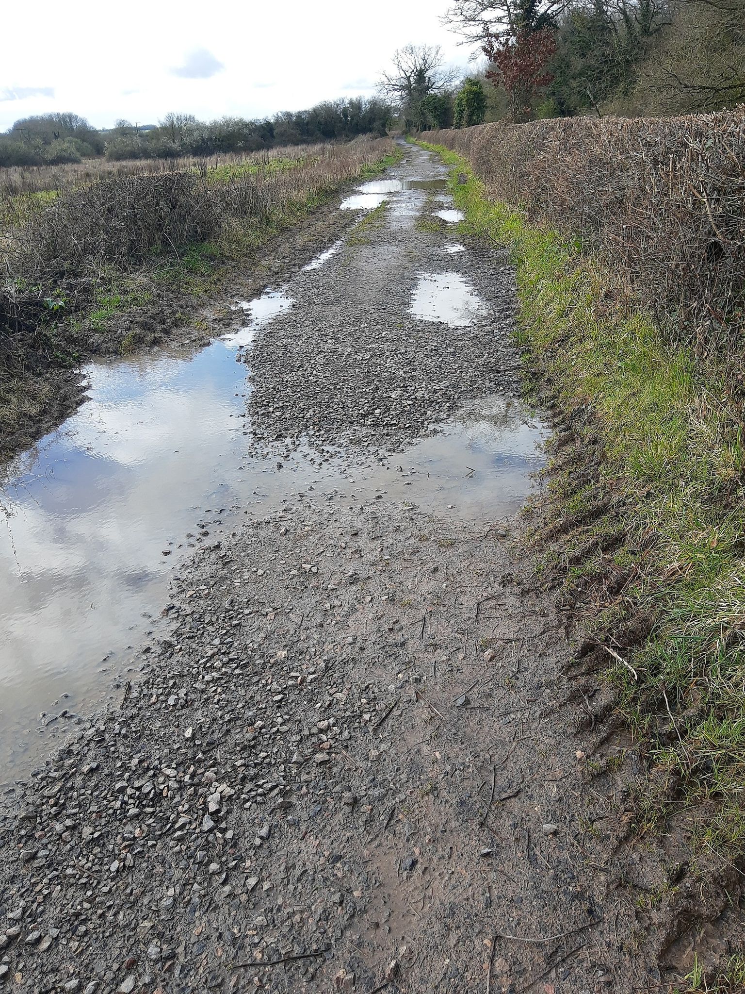 Return pathway