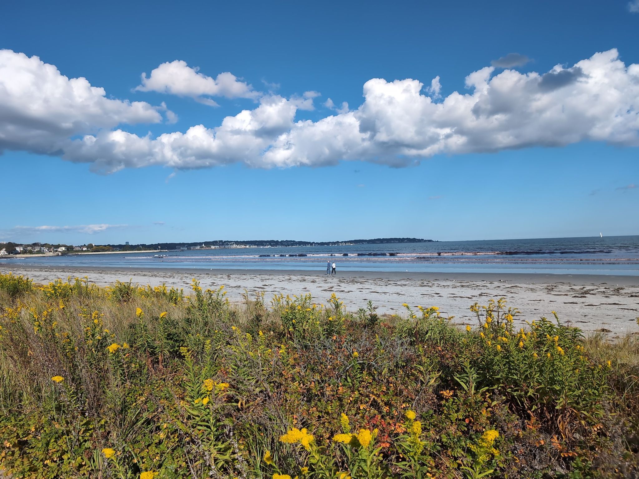 Wide sandy beach with distant people, calm ocean, and cloudy blue sky. - Nahant Bike Tour
