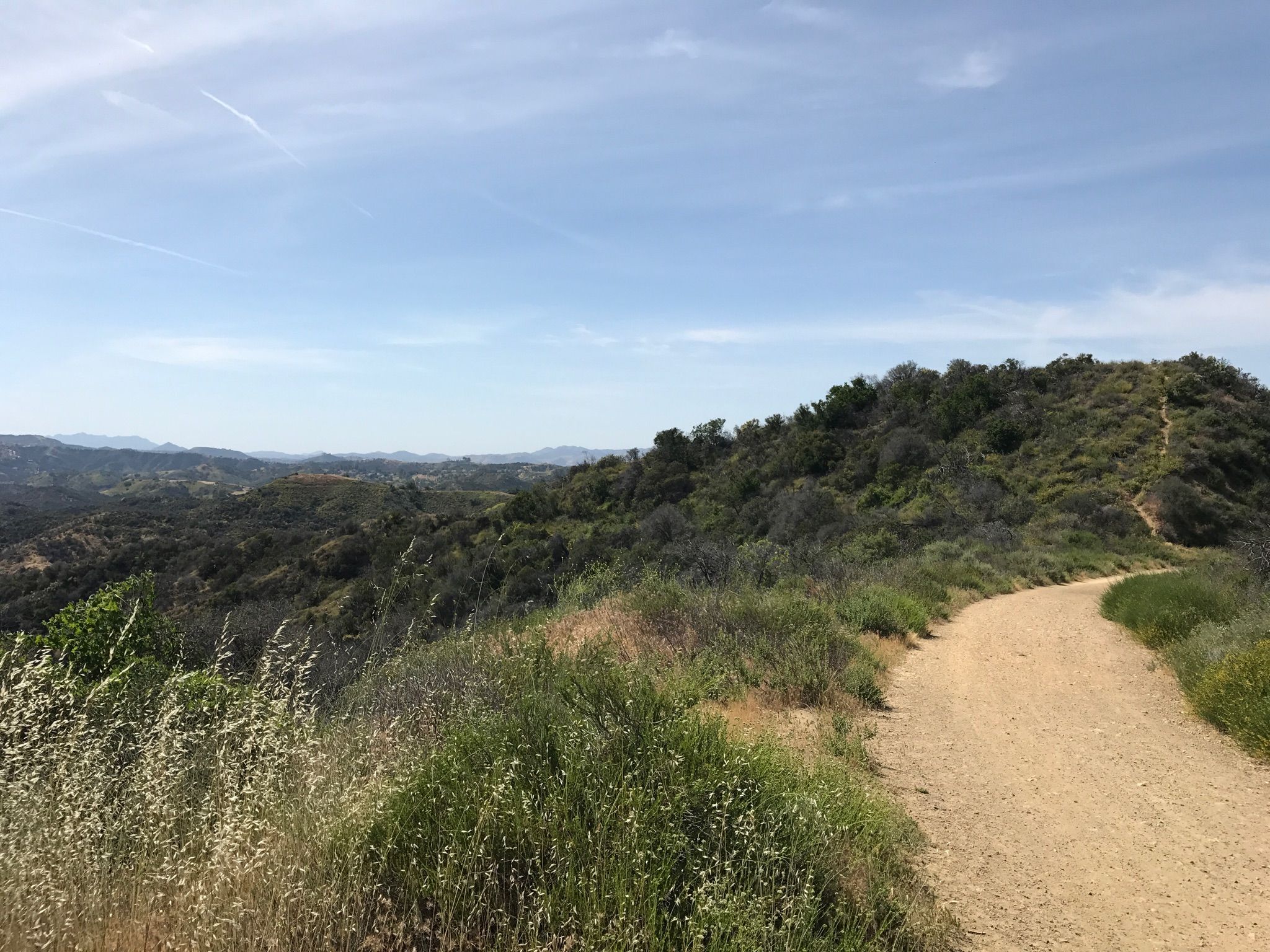 A dirt path winds through green and brown hills under a clear sky. - Vanalden Cave – Sullivan Canyon Overlook loop from Chatsworth