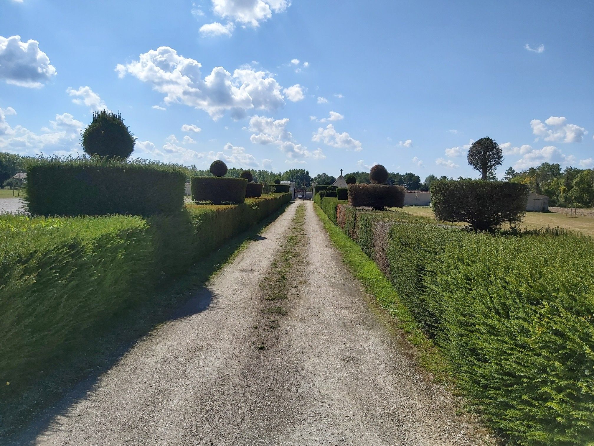 Allée zum Friedhof - kunstvoll geschnitten