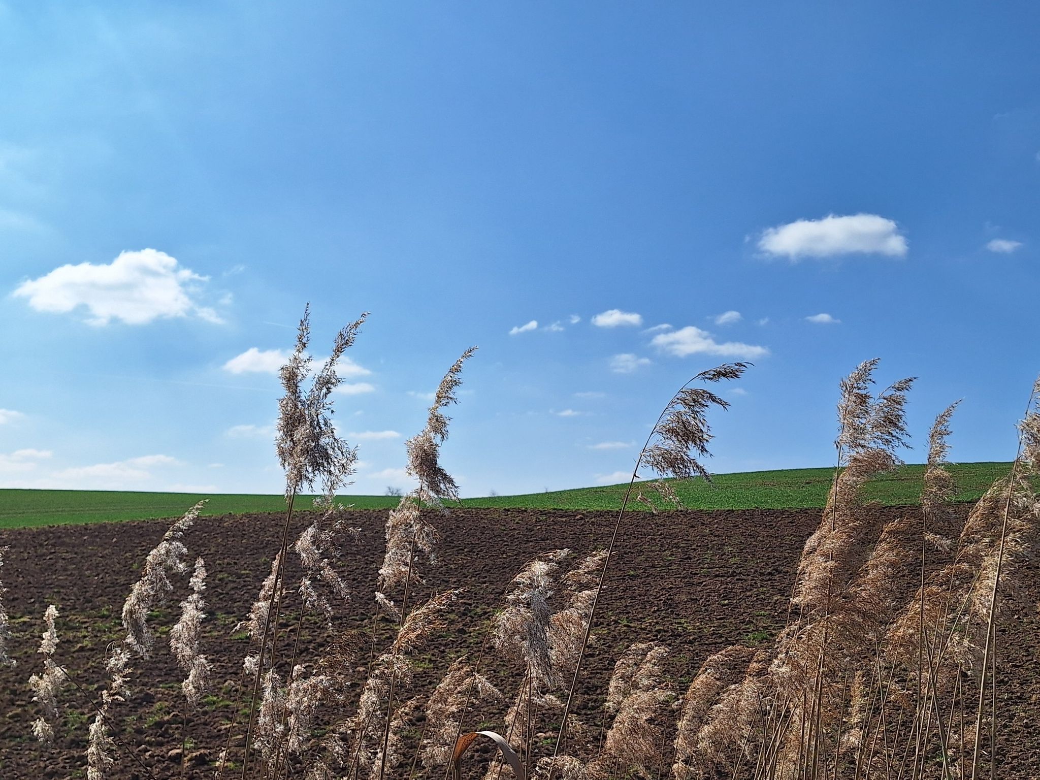 Traumwetter