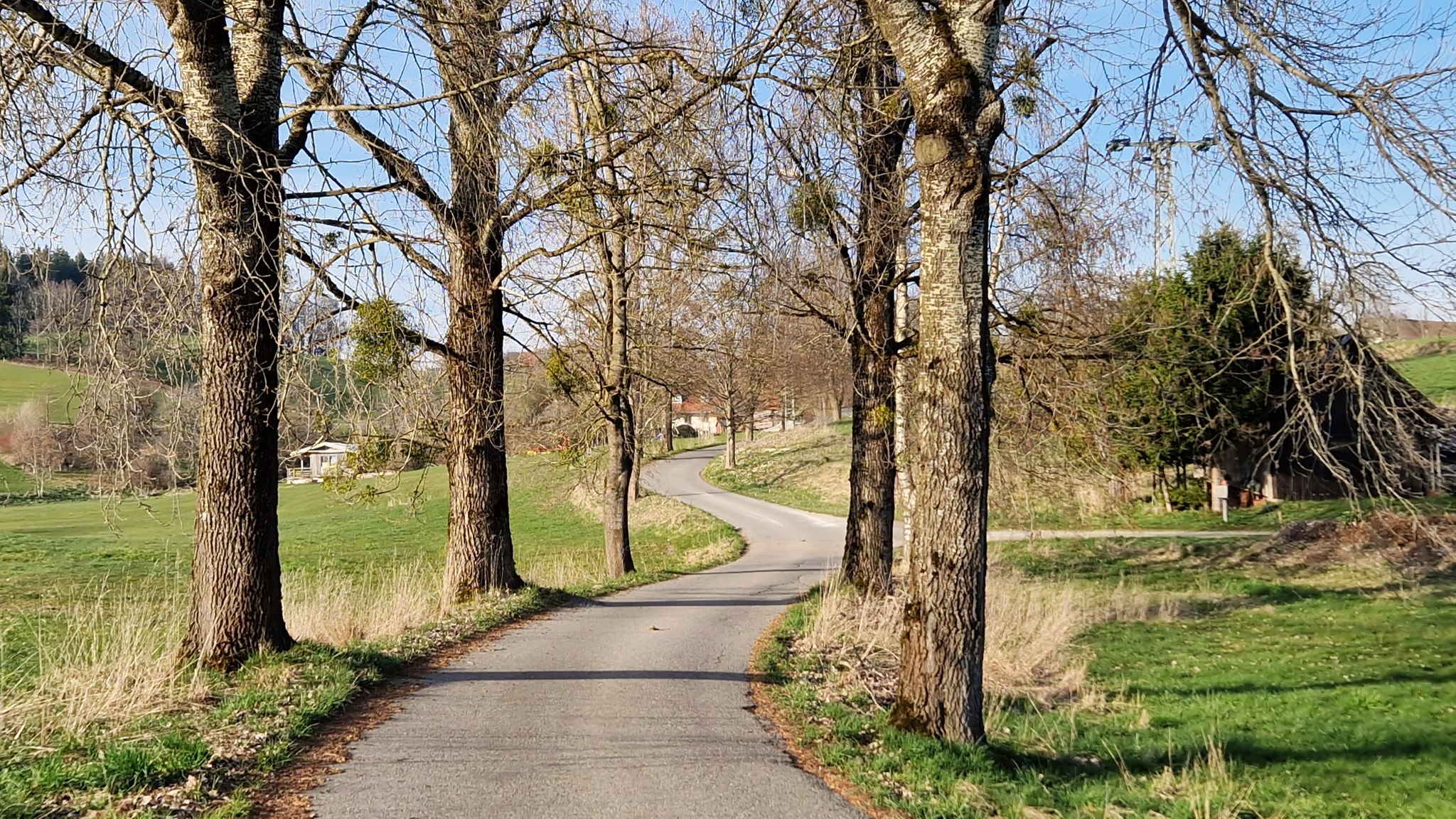 Auffahrt von Geiselharz nach Eggenreute