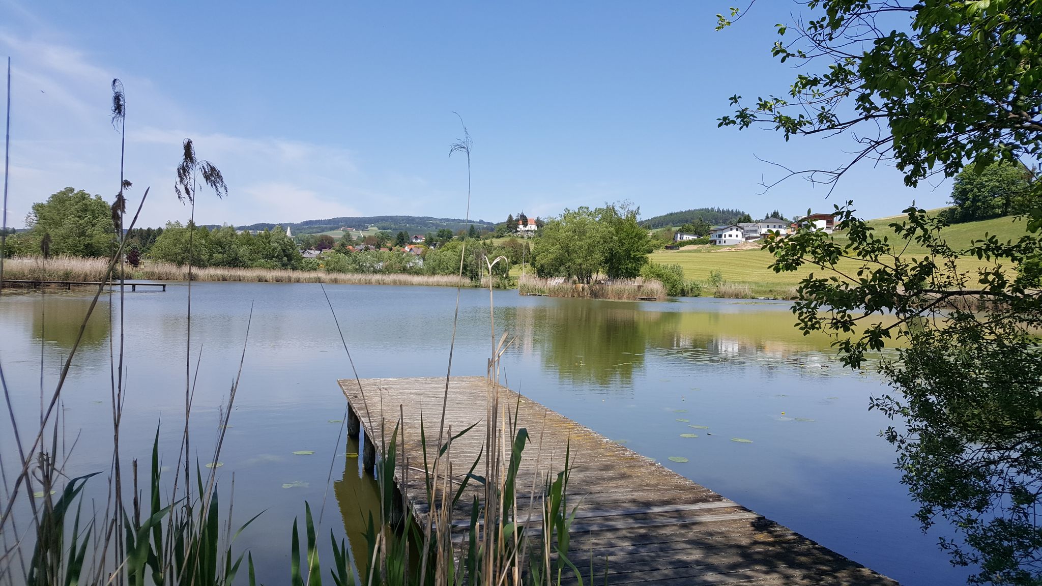 Landschaftsteich in Krumbach