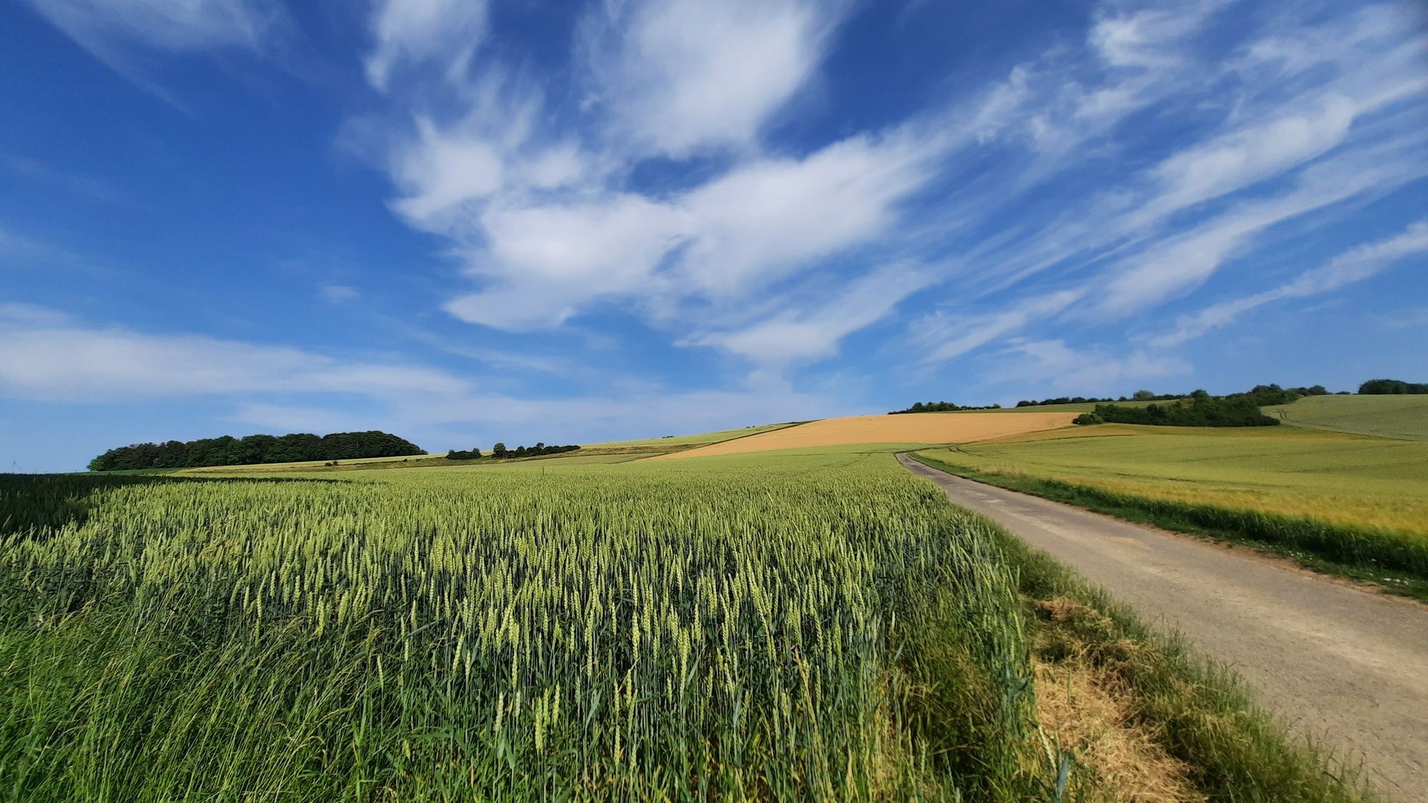 Schöner Blick beim Aufstieg zur Pottschütthöhe