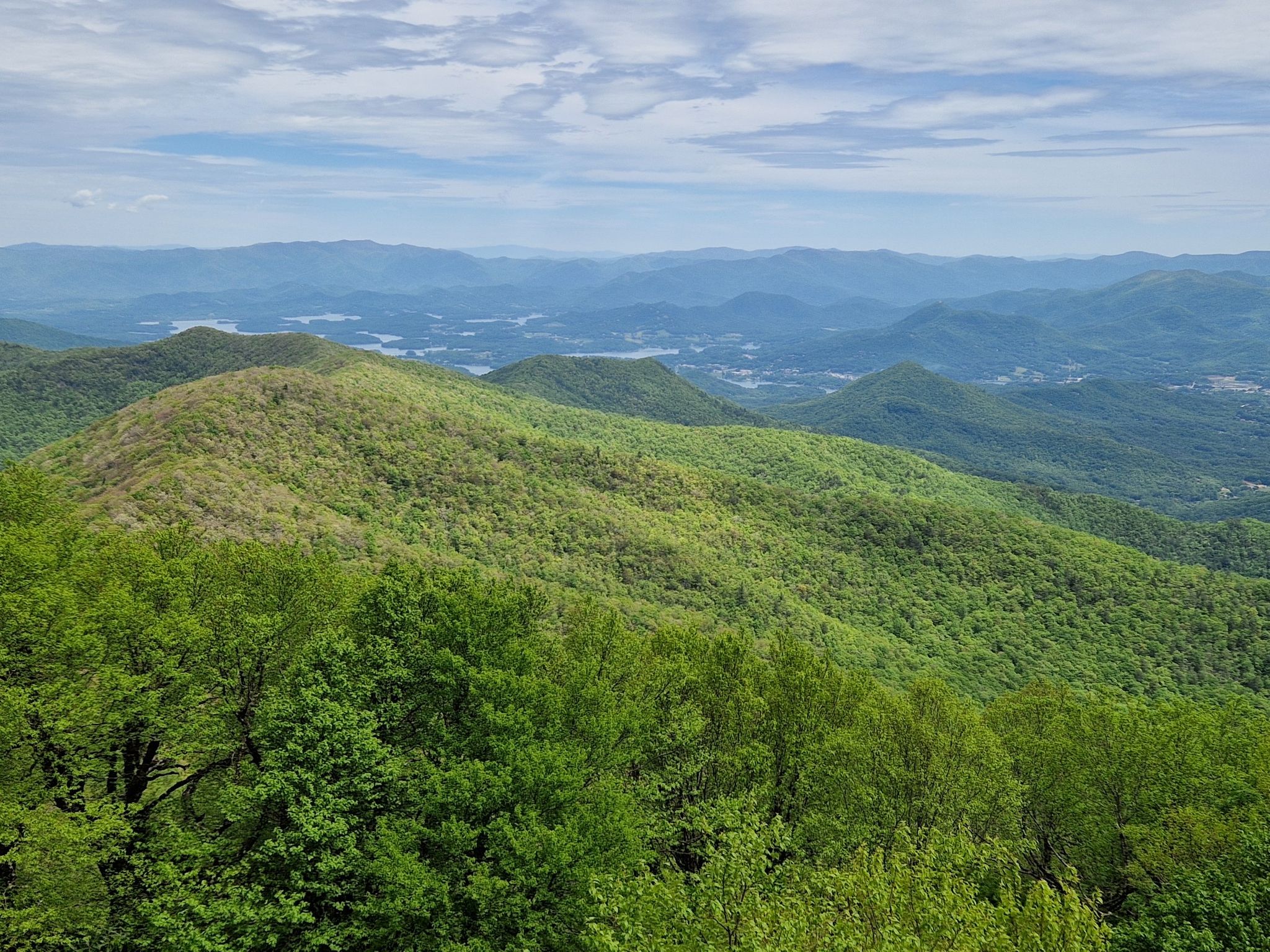 Lush green forested mountains stretch into the distance under a cloudy sky. - Brasstown Bald via Jacks Knob Trail