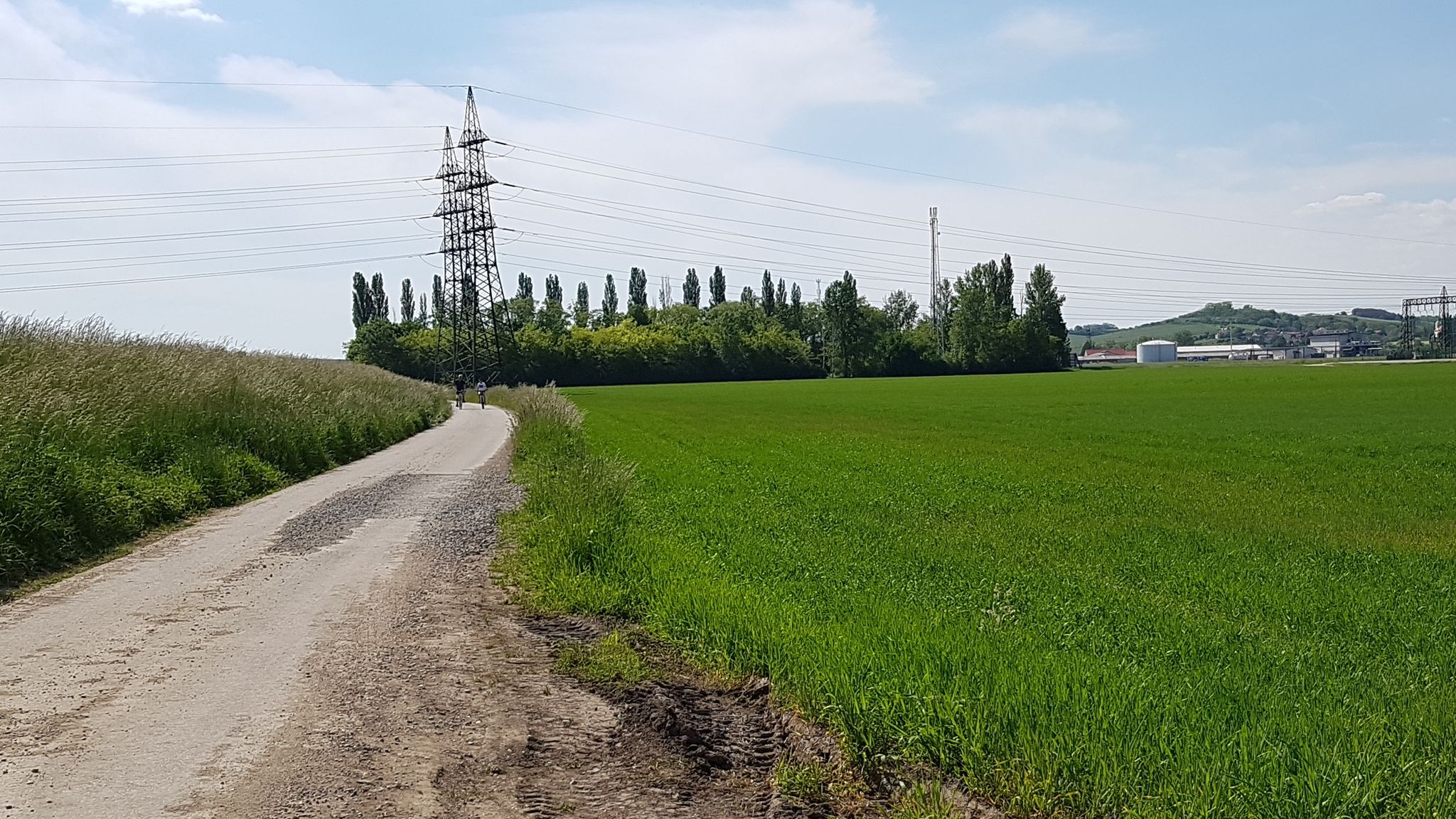 vor Neusiedl