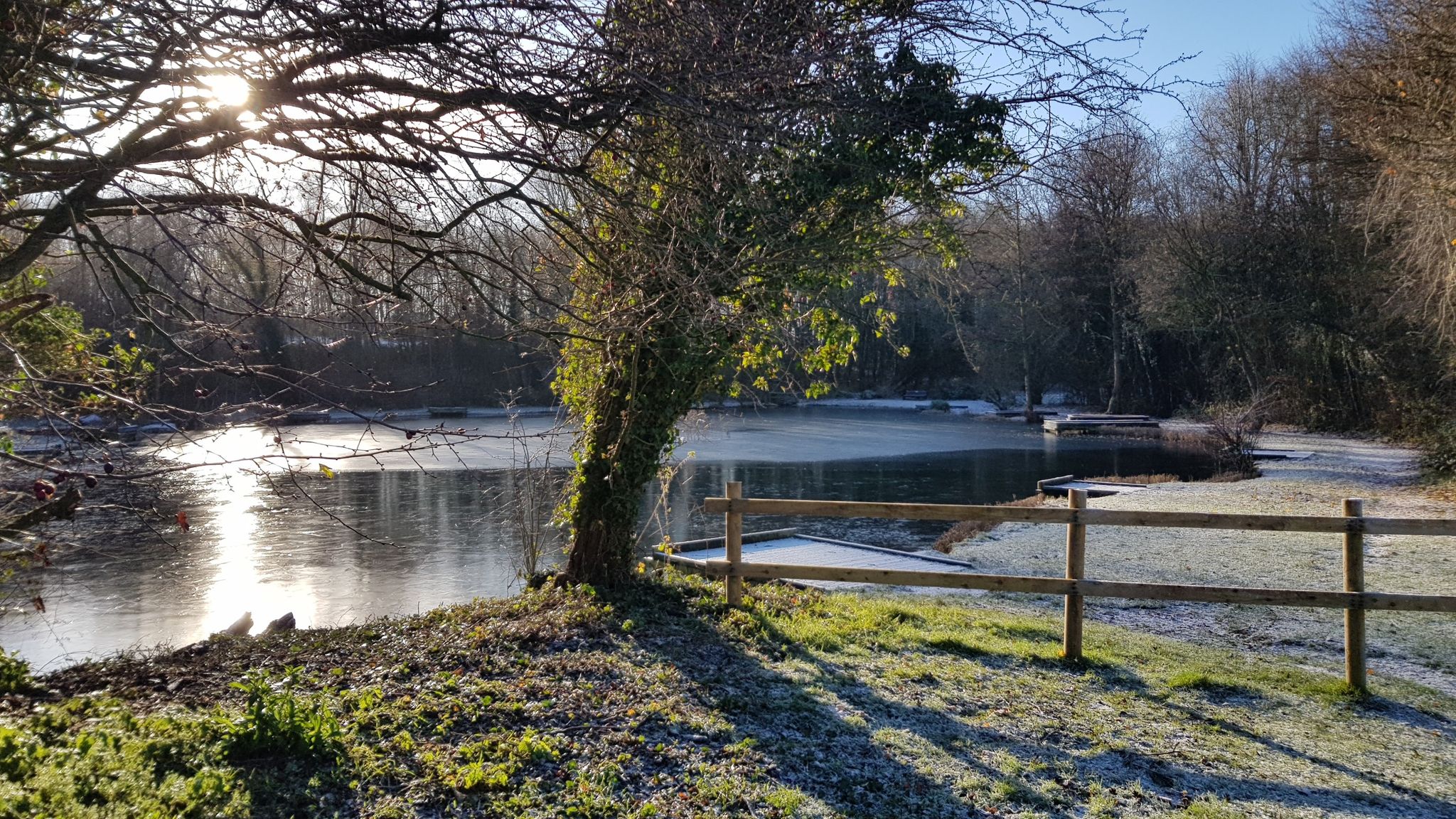 Tibshelf Ponds