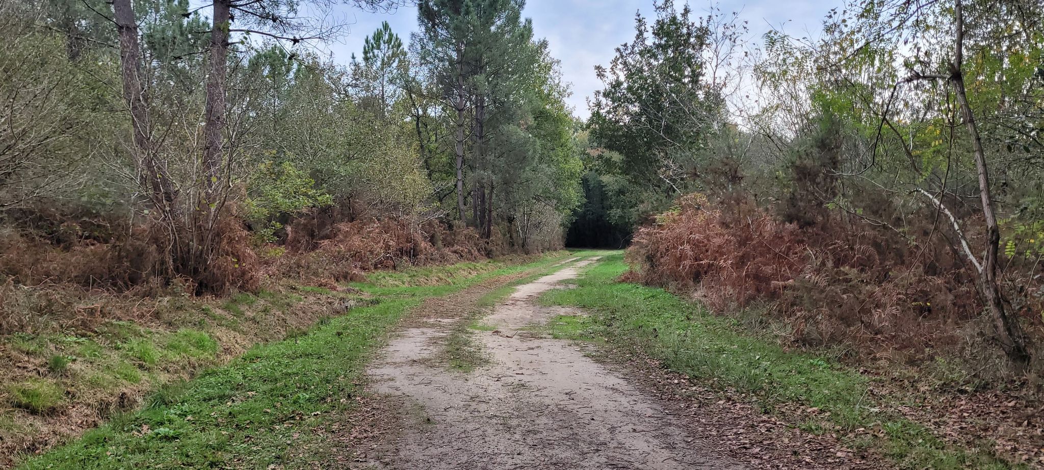 Joli chemin