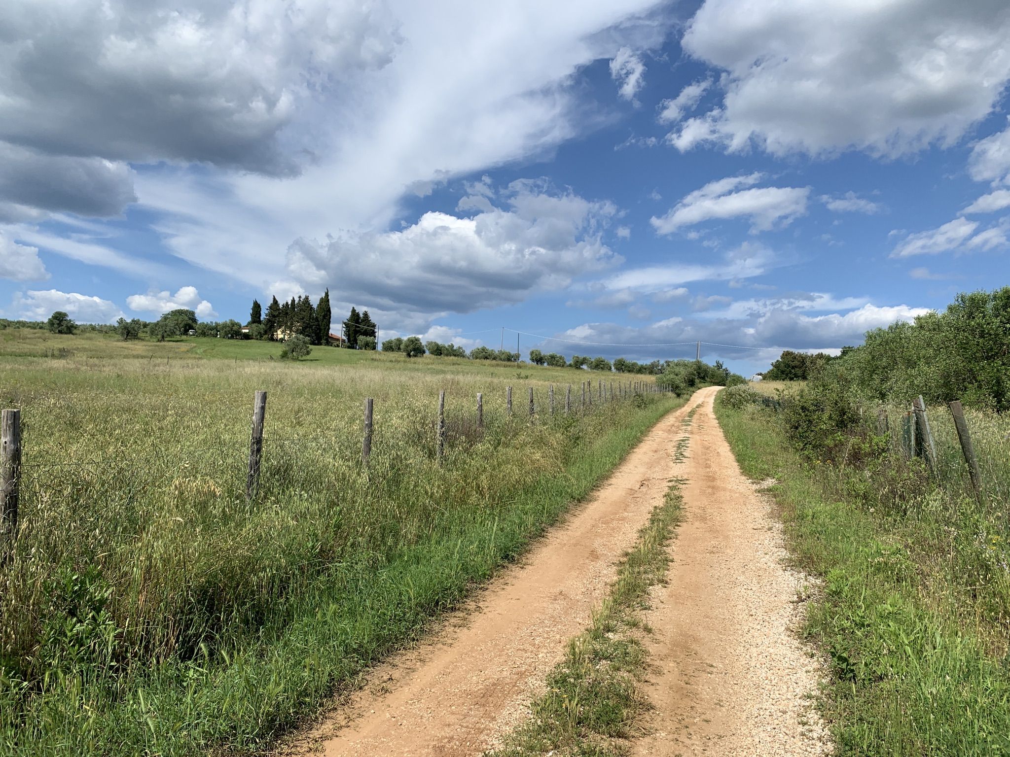 Along the paradise 