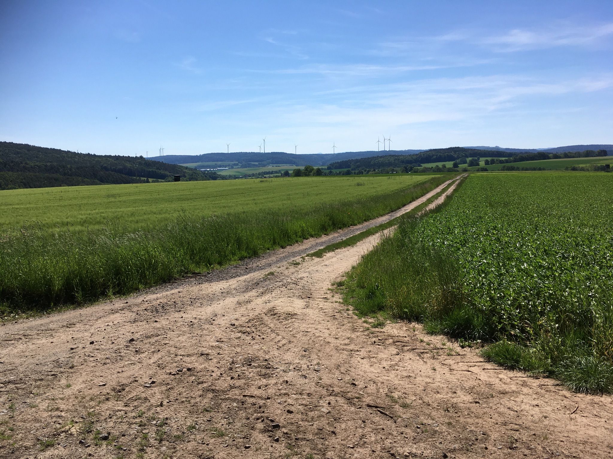 Anfahrt über Mountainbikestrecke bis Lingelbach