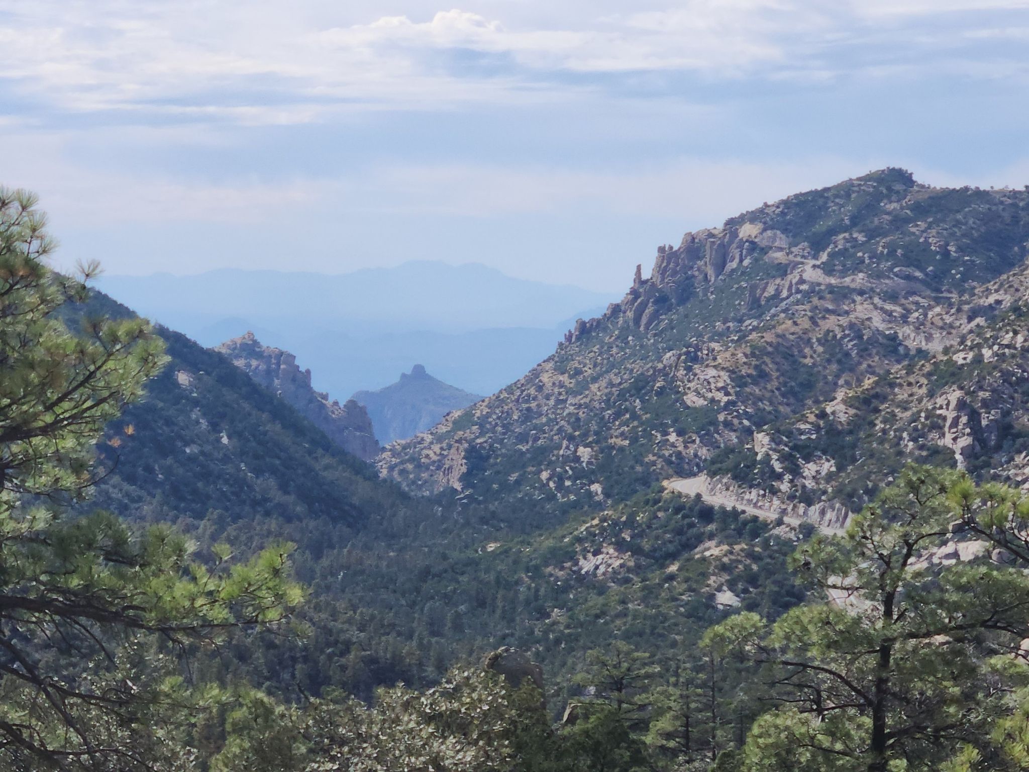 Forested mountain valley with distant rock formations under a hazy sky. - Maverick Springs via Green Mountain Trail