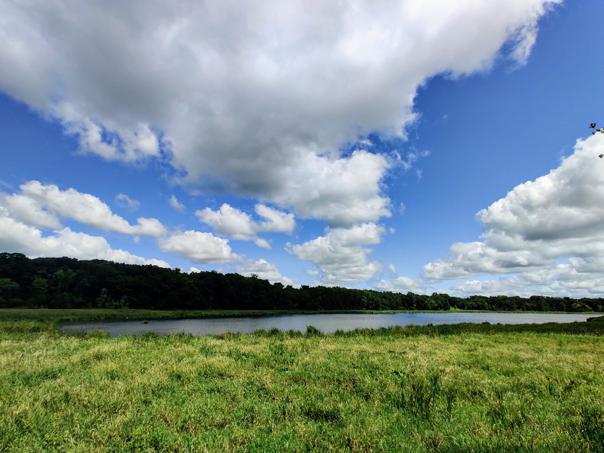 Grassy field overlooking a calm lake under a cloudy blue sky. - Elysian trail access point – View of Lake Elysian loop from Elysian