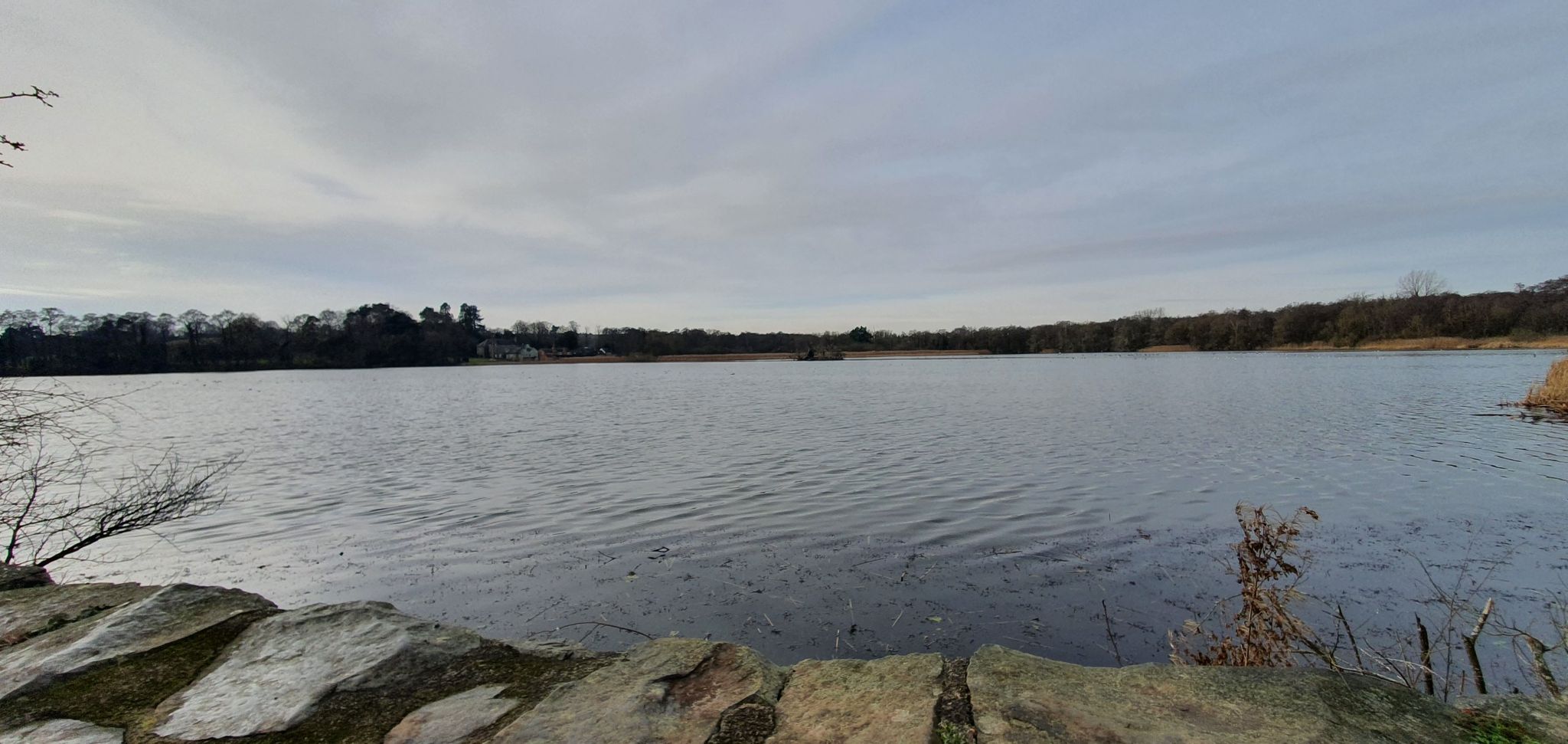 Groby Pool
