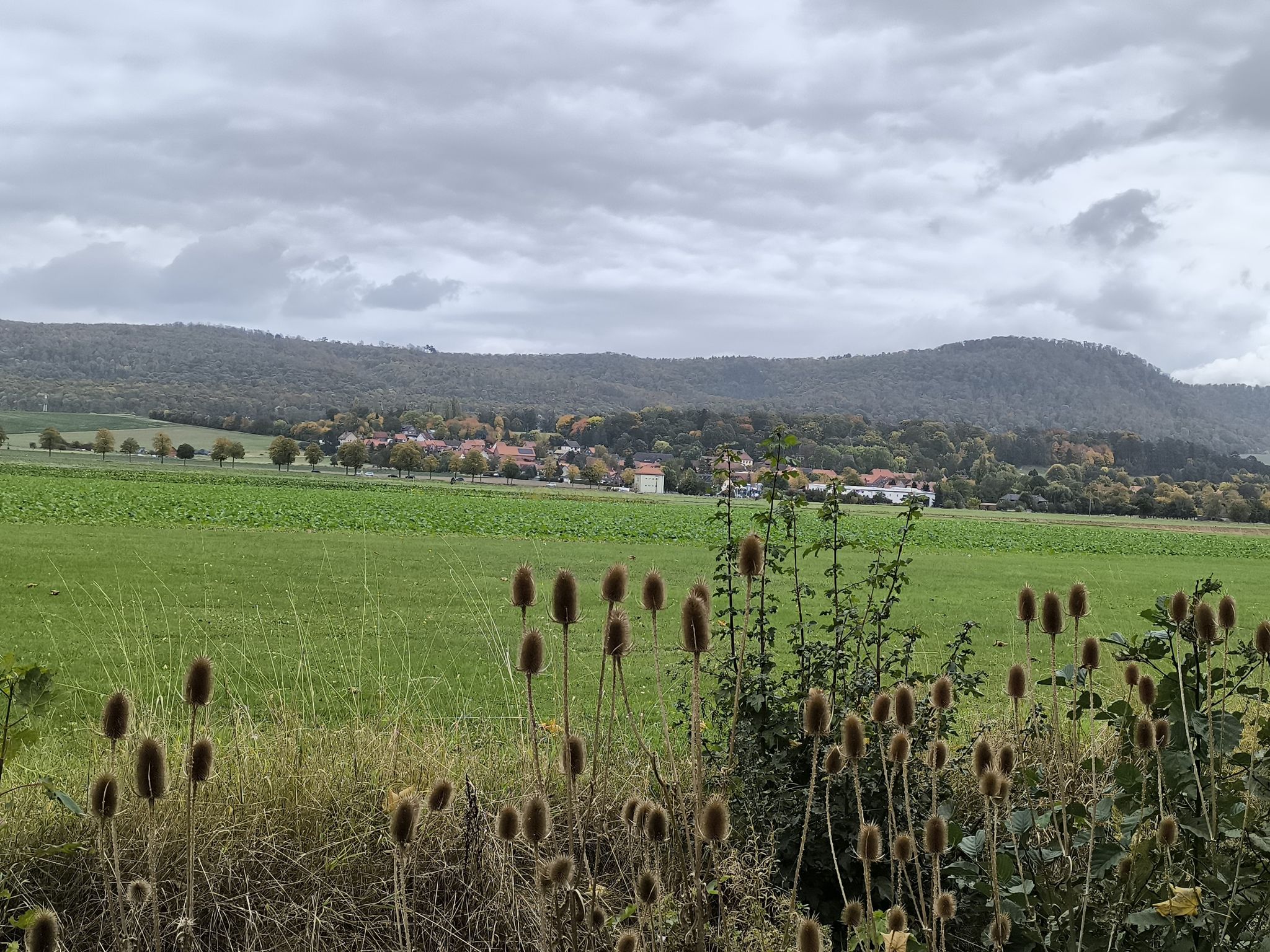 Blick Richtung Rheden