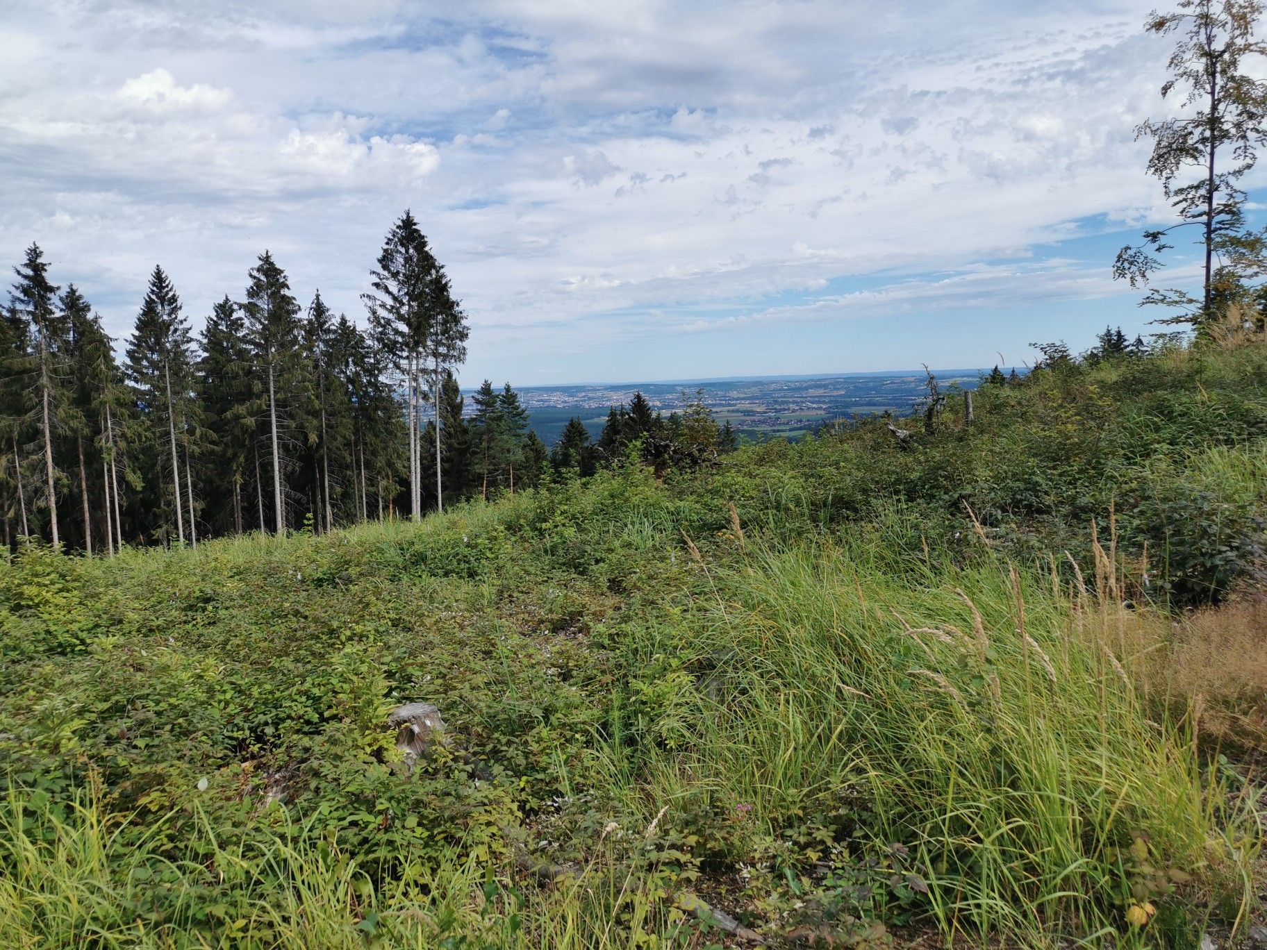 Aussicht 