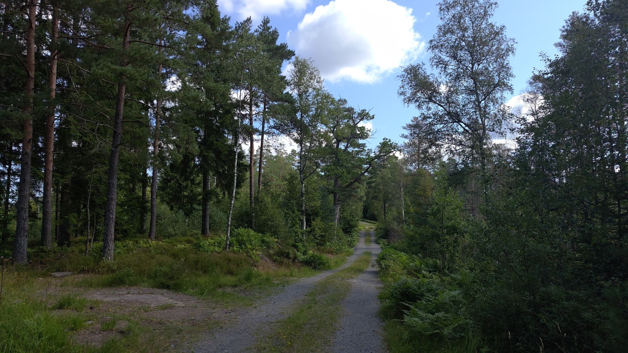 Ekelundsvägen